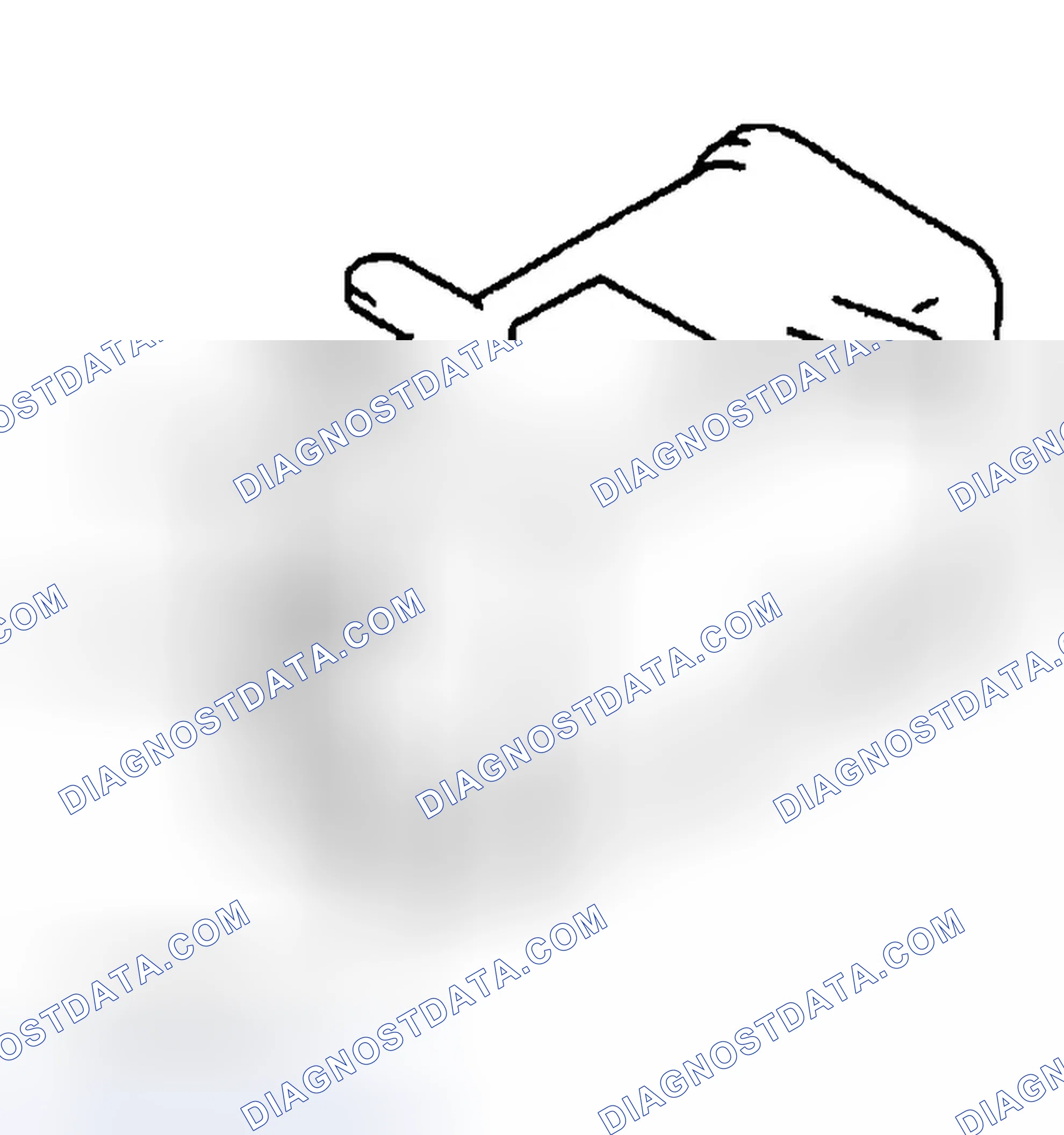Scheme 110: Charcoal Canister - Miata & Protege