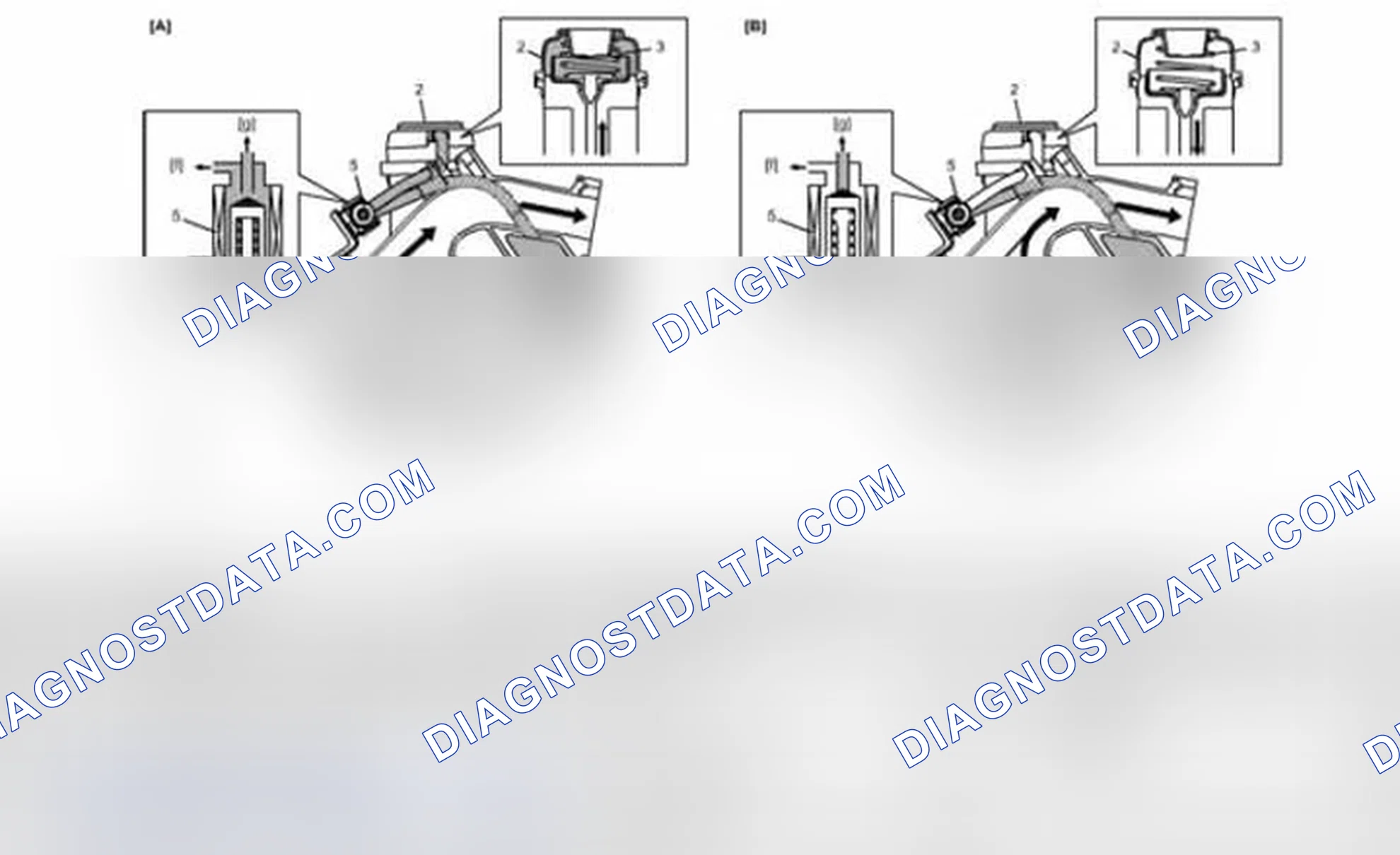 Scheme 3