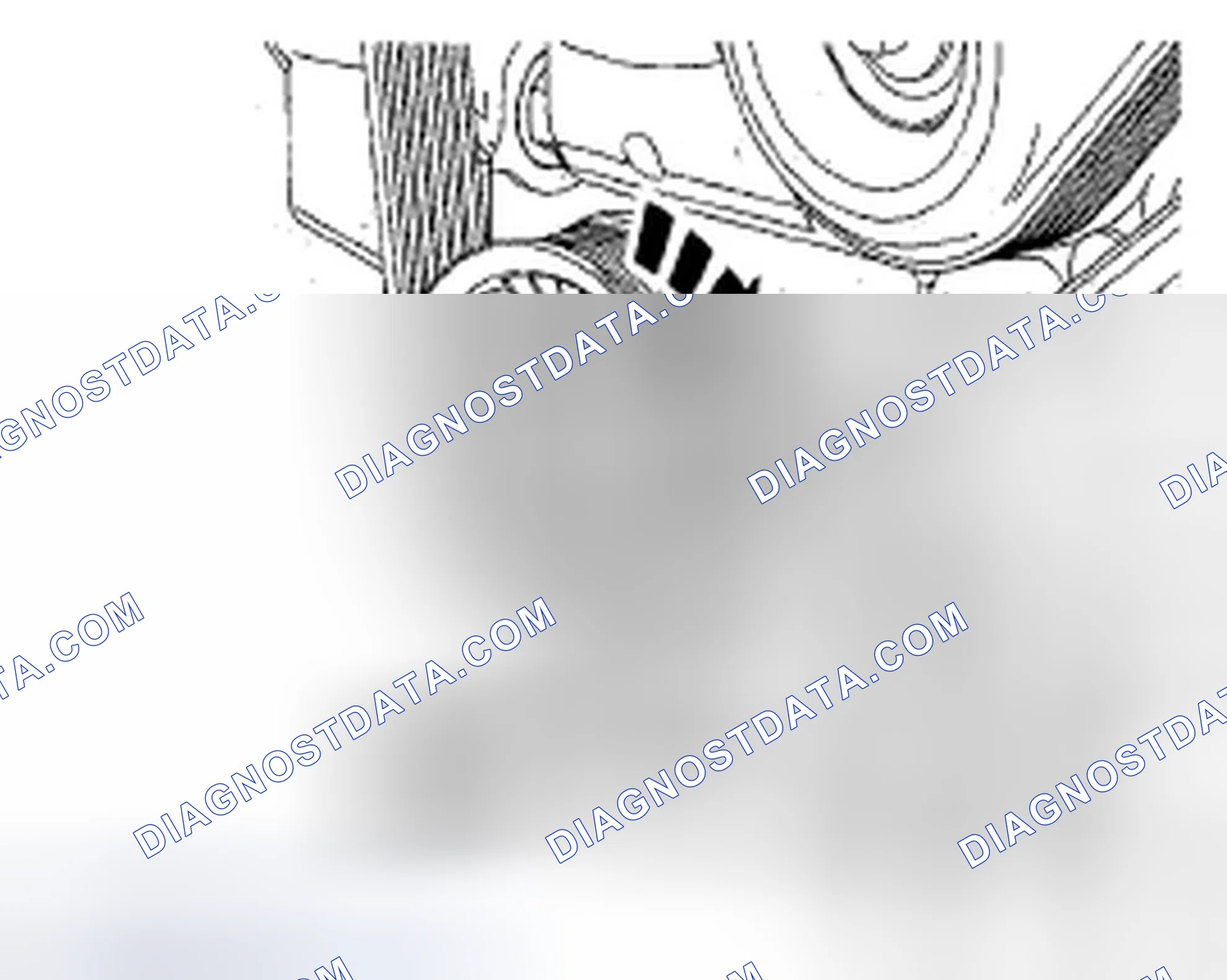 Scheme 324: ACCESSORY DRIVE BELT REMOVAL/INSTALLATION - 2.5L