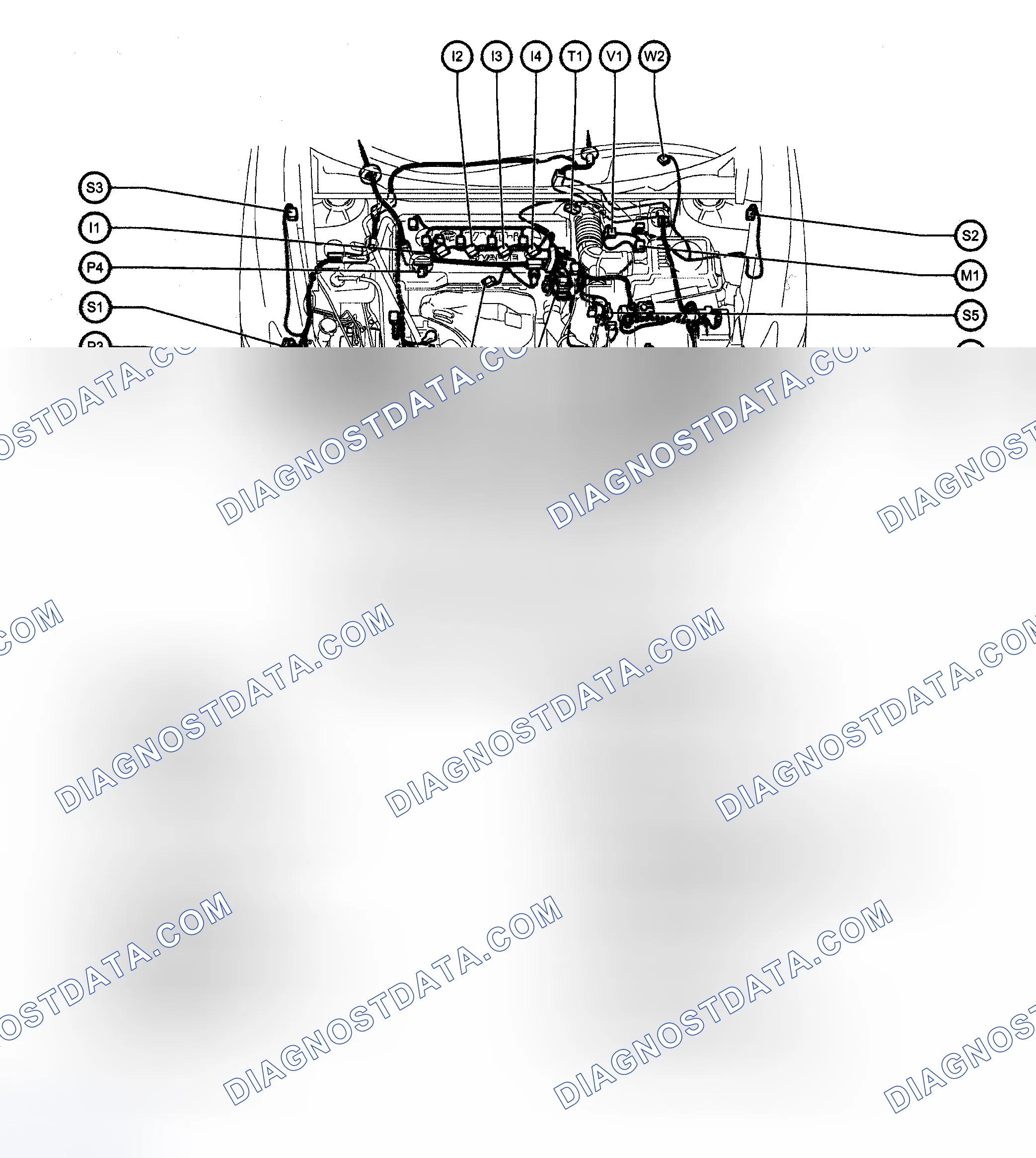 Scheme 8