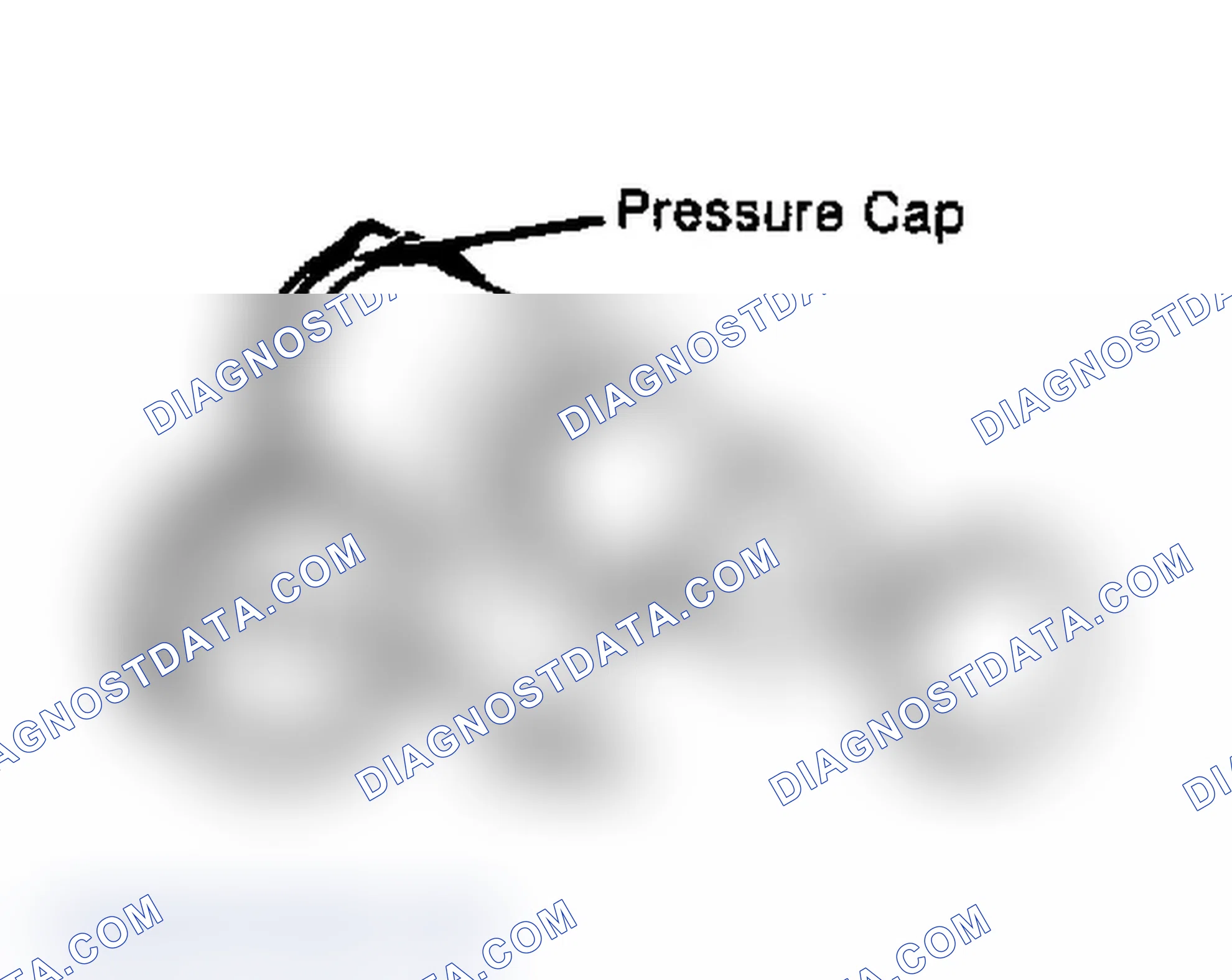Scheme 2: Testing Radiator Pressure Cap Wet cap gasket before testing.