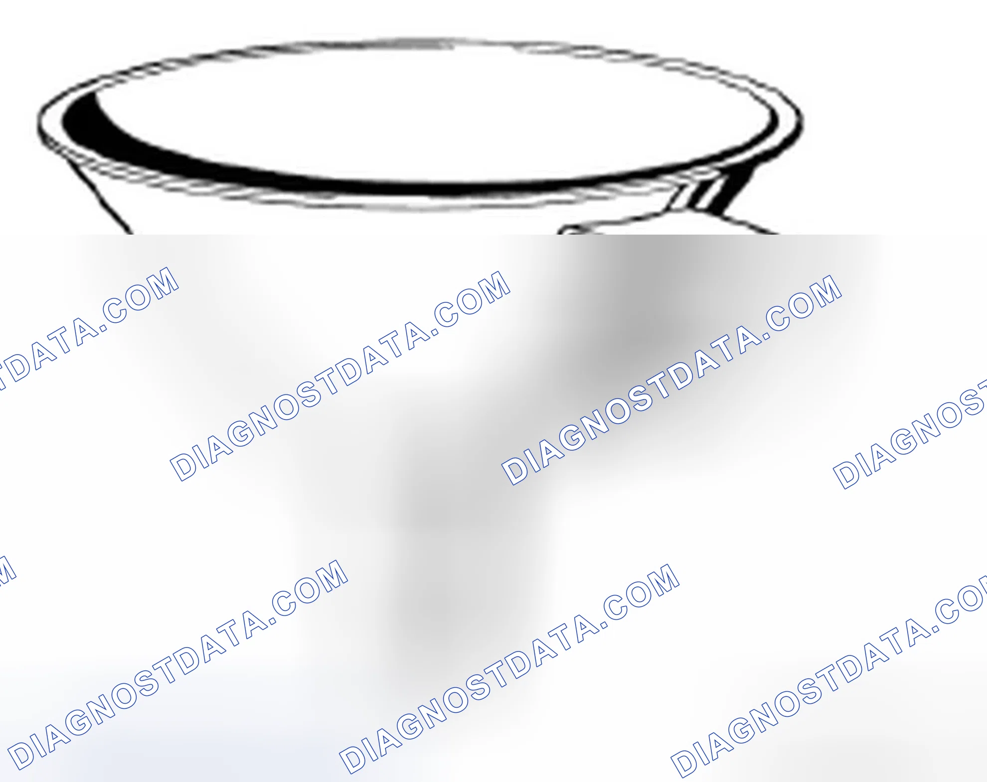 Scheme 310: 24 0 080 Funnel