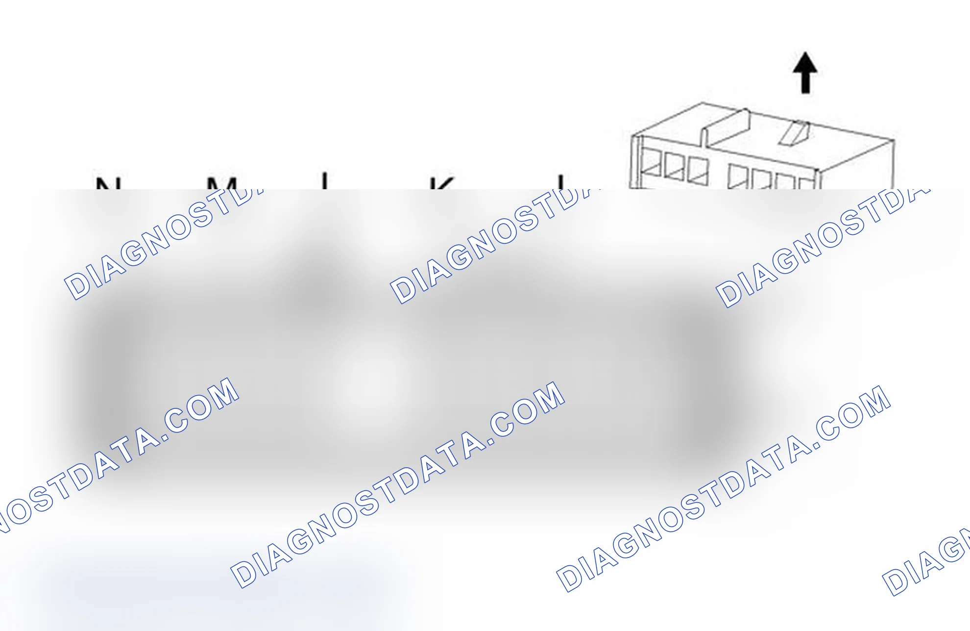Scheme 10: Turn Signal/Multifunction Switch C3