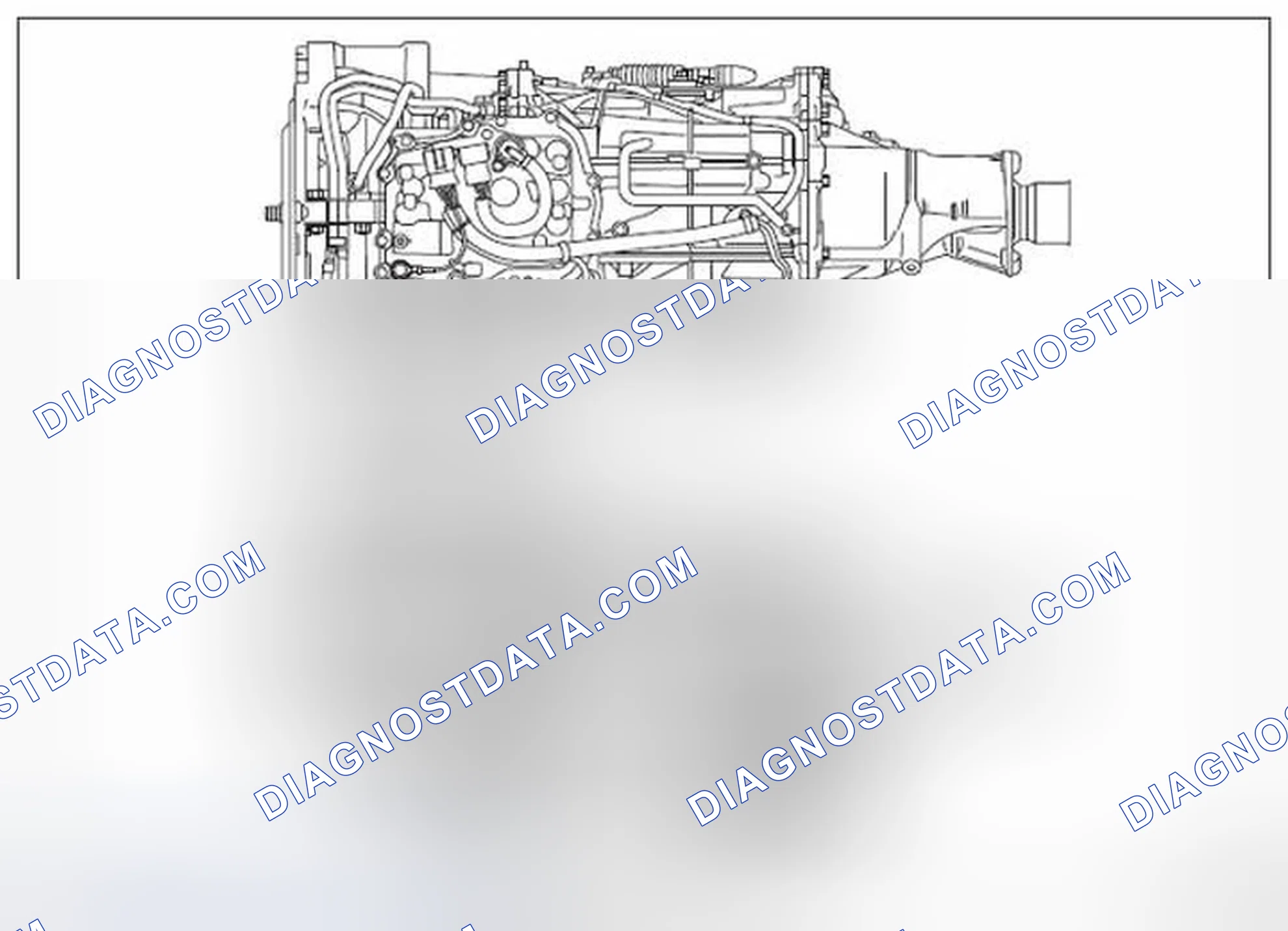 Scheme 335