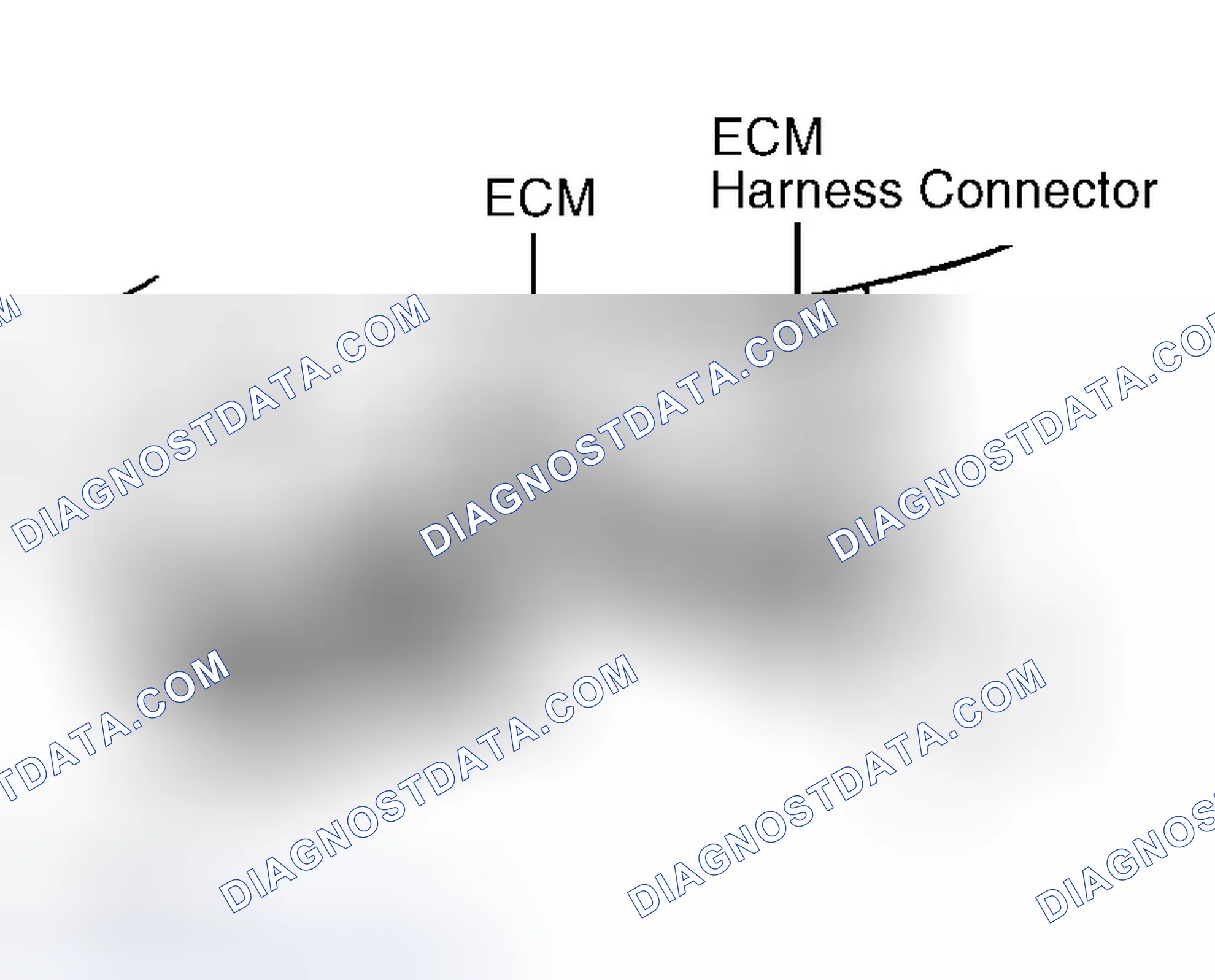 Scheme 4: ECM HARNESS CONNECTOR