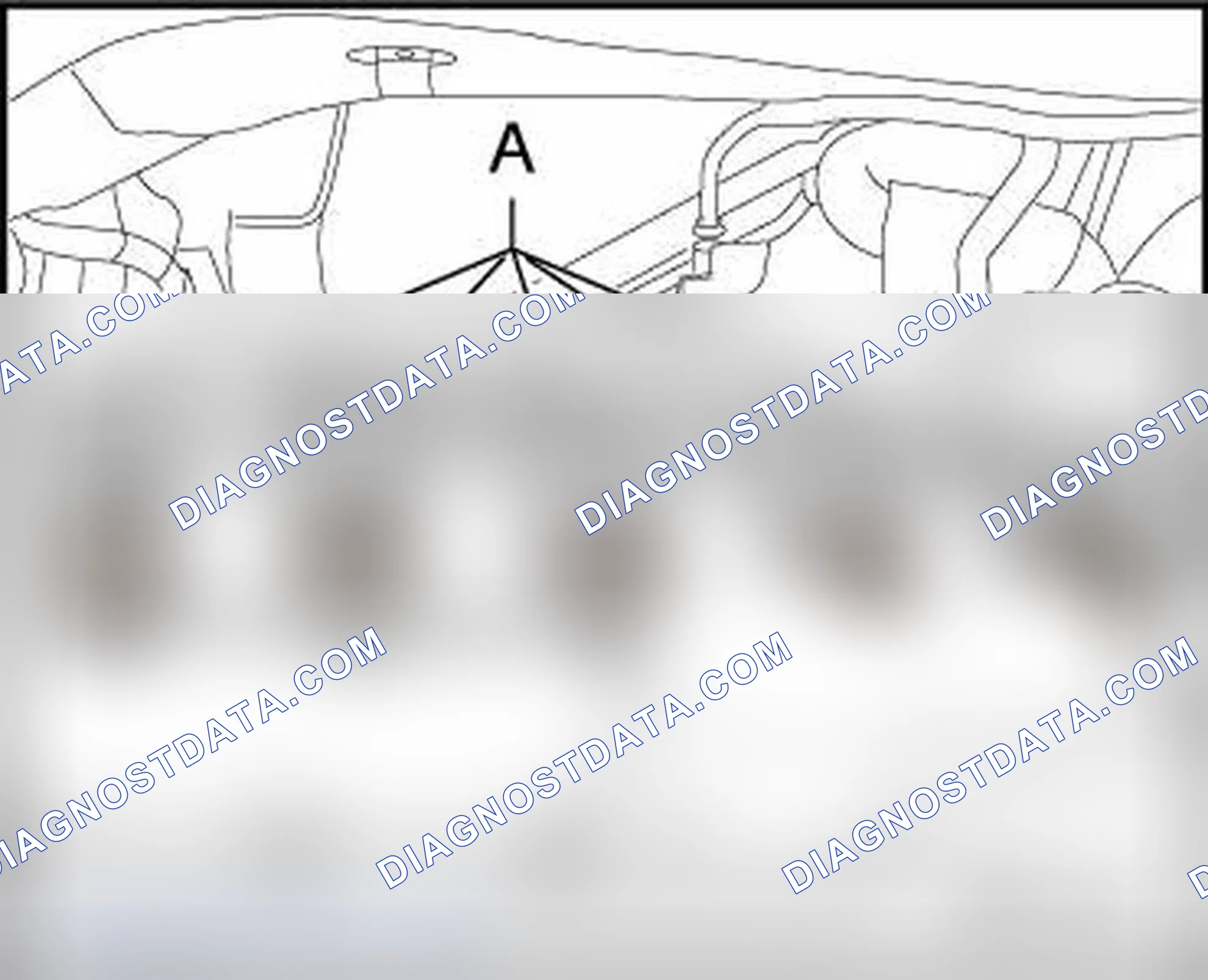 Scheme 5