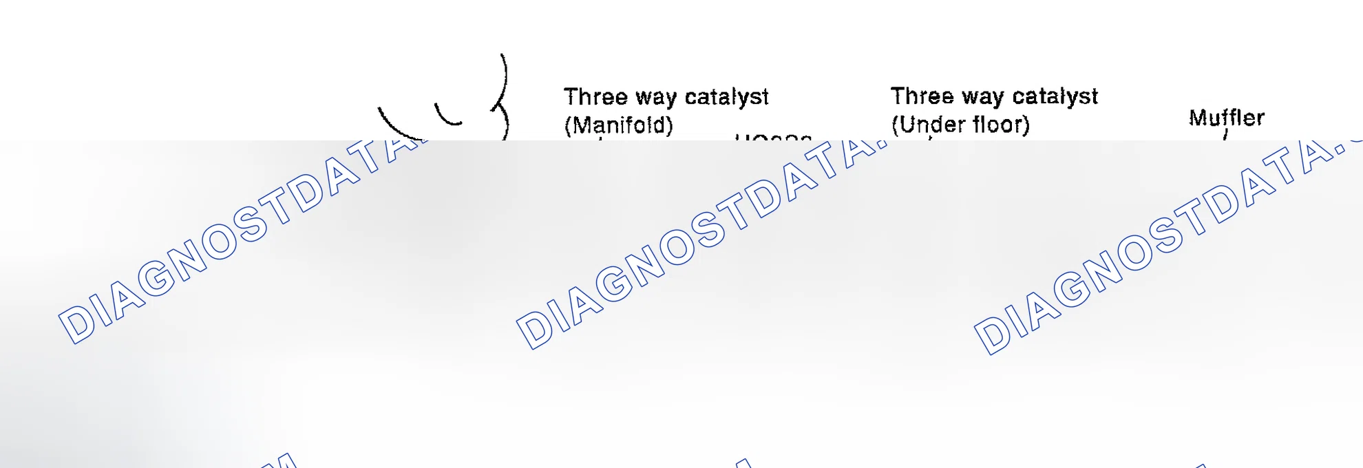 Scheme 709: Diagnostic Procedure