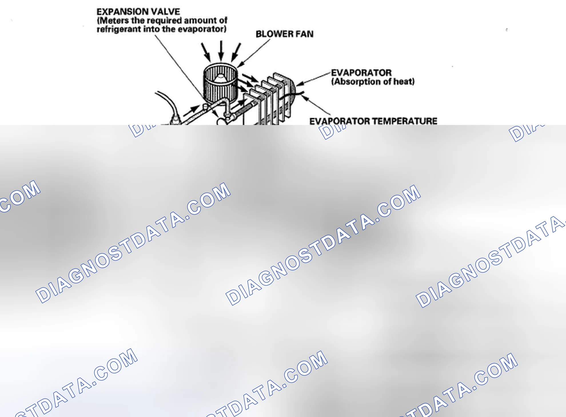 Scheme 4: System Description