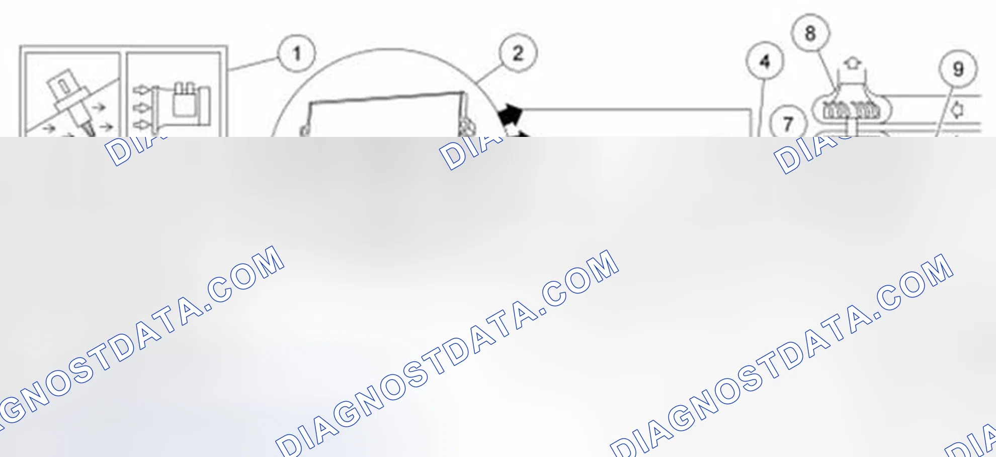 Scheme 81: Enhanced Evaporative Emission (EVAP) System - All Others