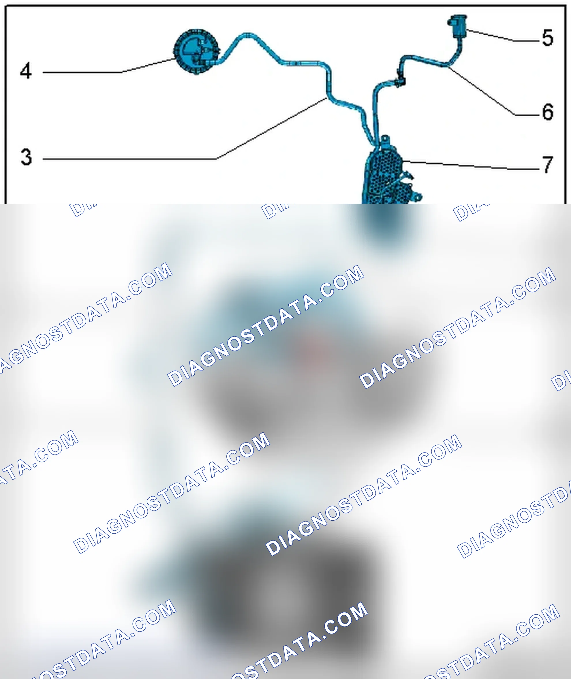 Scheme 12: EVAP CANISTER AND LEAK DETECTION SYSTEM HOSE DIAGRAM - ENGINE CODE(S): CALA & CCBA & CGXC