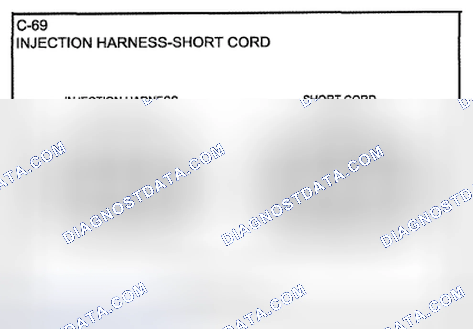 Scheme 83: Identifying Short Cord Injection Harness Connector Terminals (C-69)