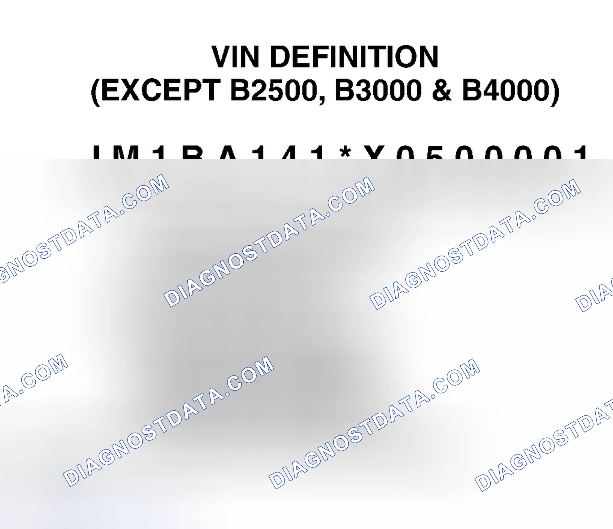 Scheme 1: VIN Definition (Except B2500, B3000 & B4000)