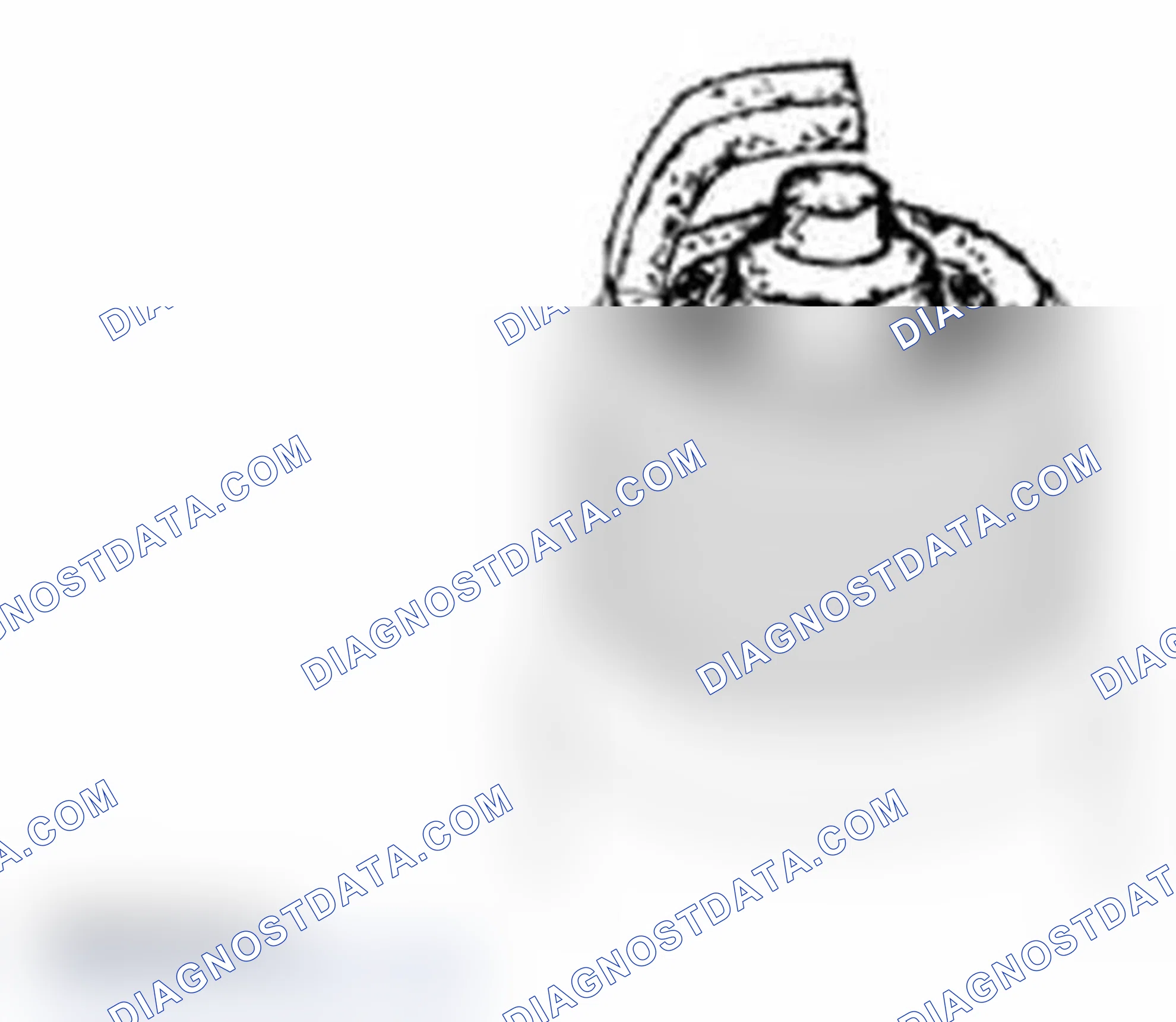 Scheme 1598