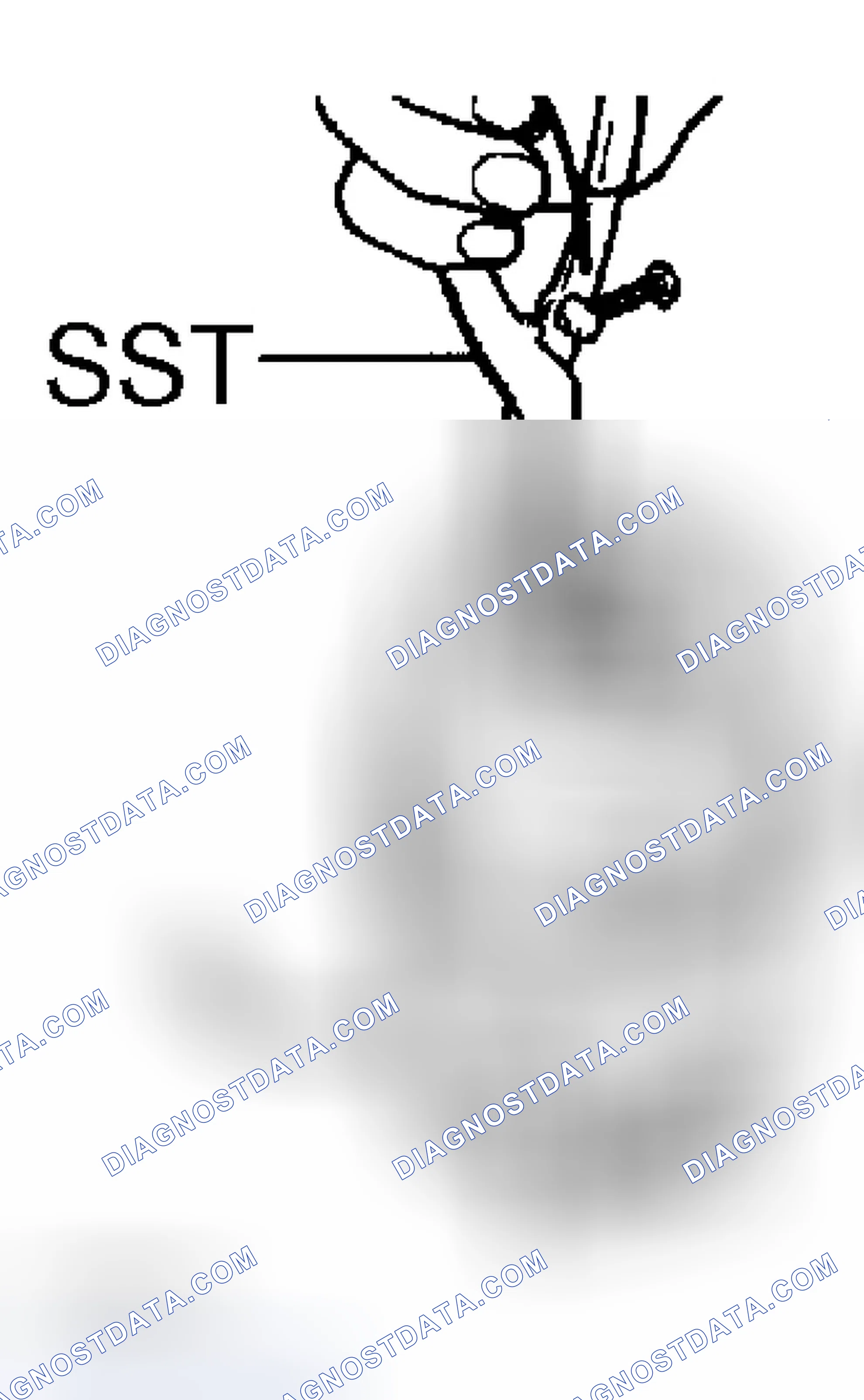 Scheme 187
