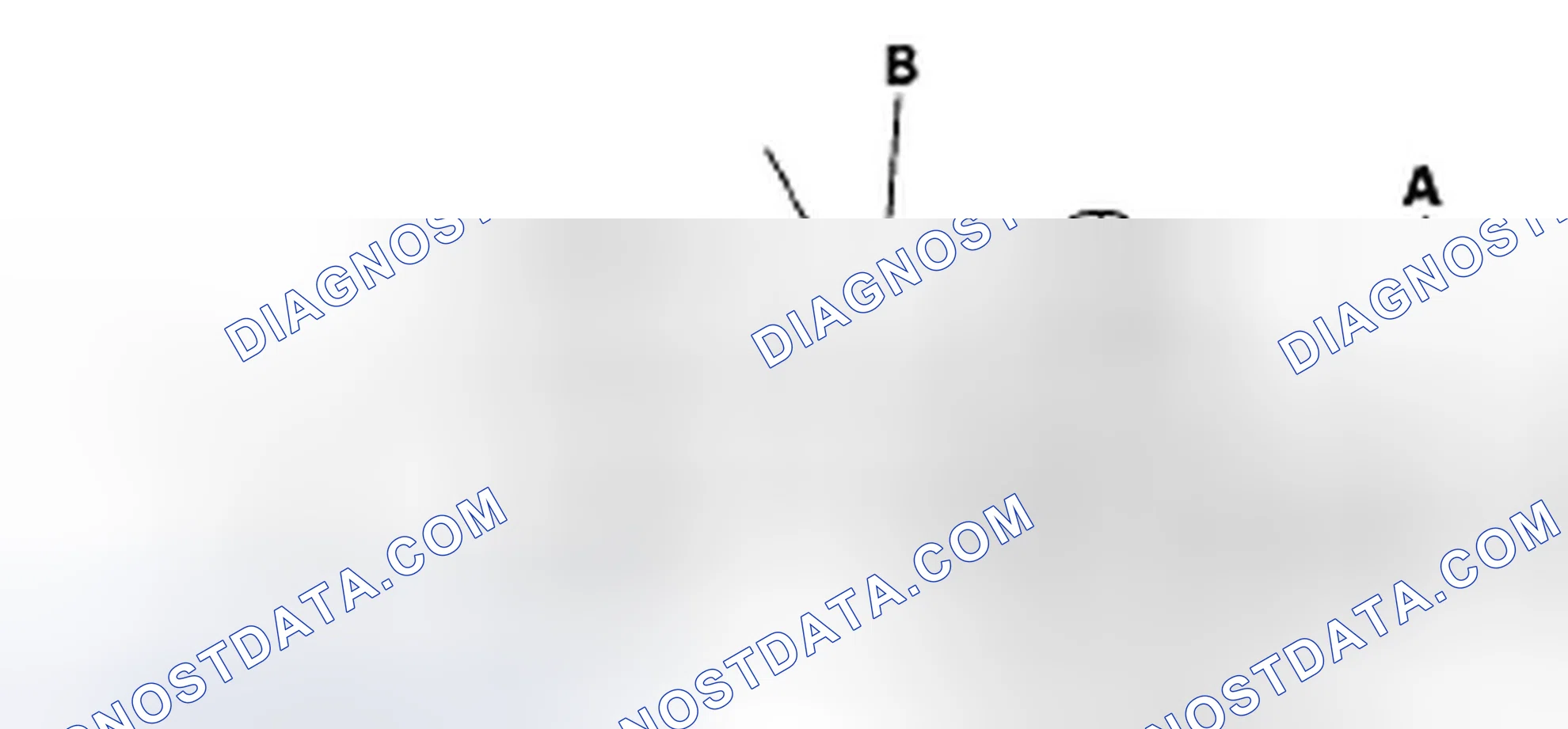Scheme 2: Radiator Cap Test