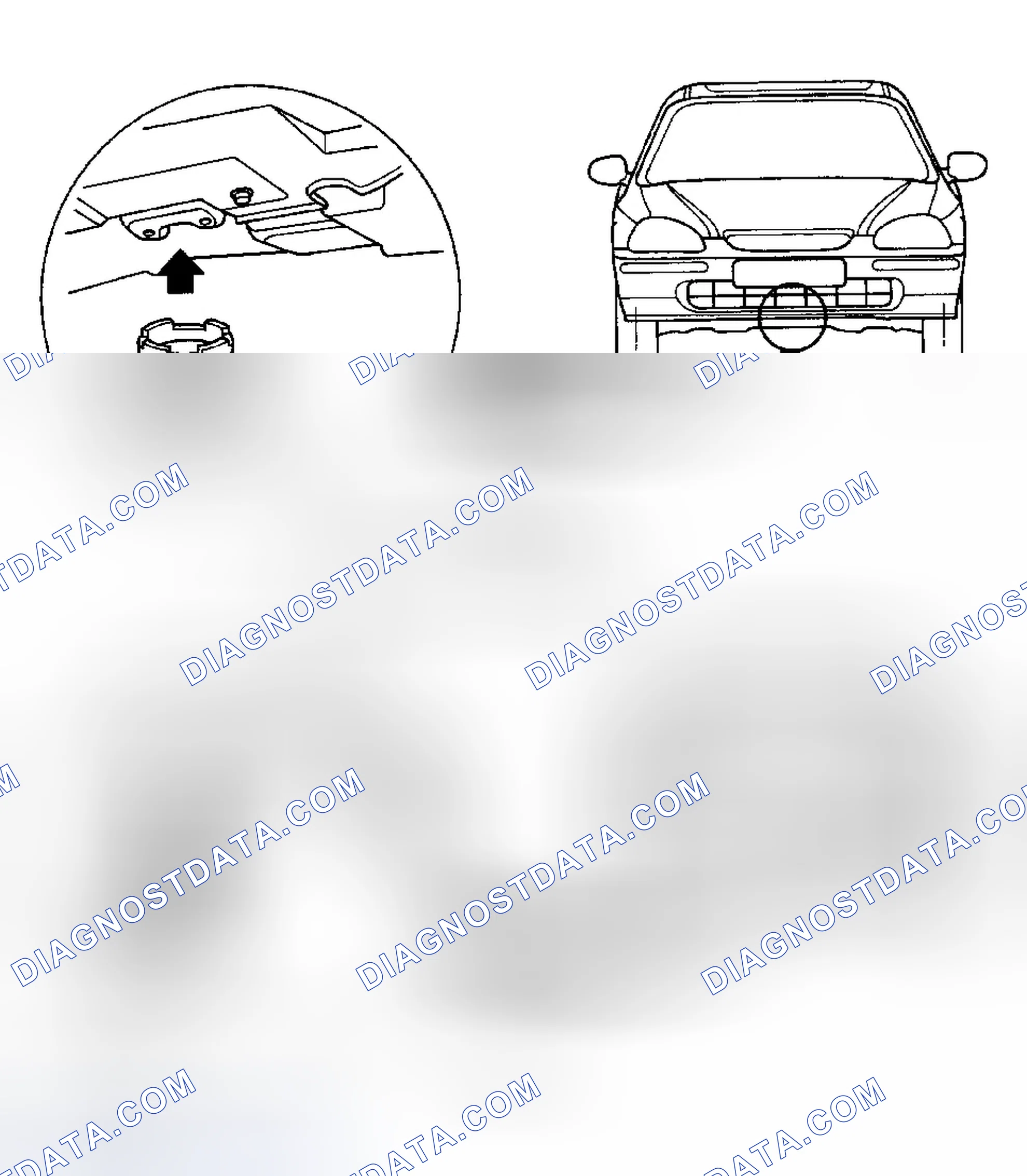 Scheme 5