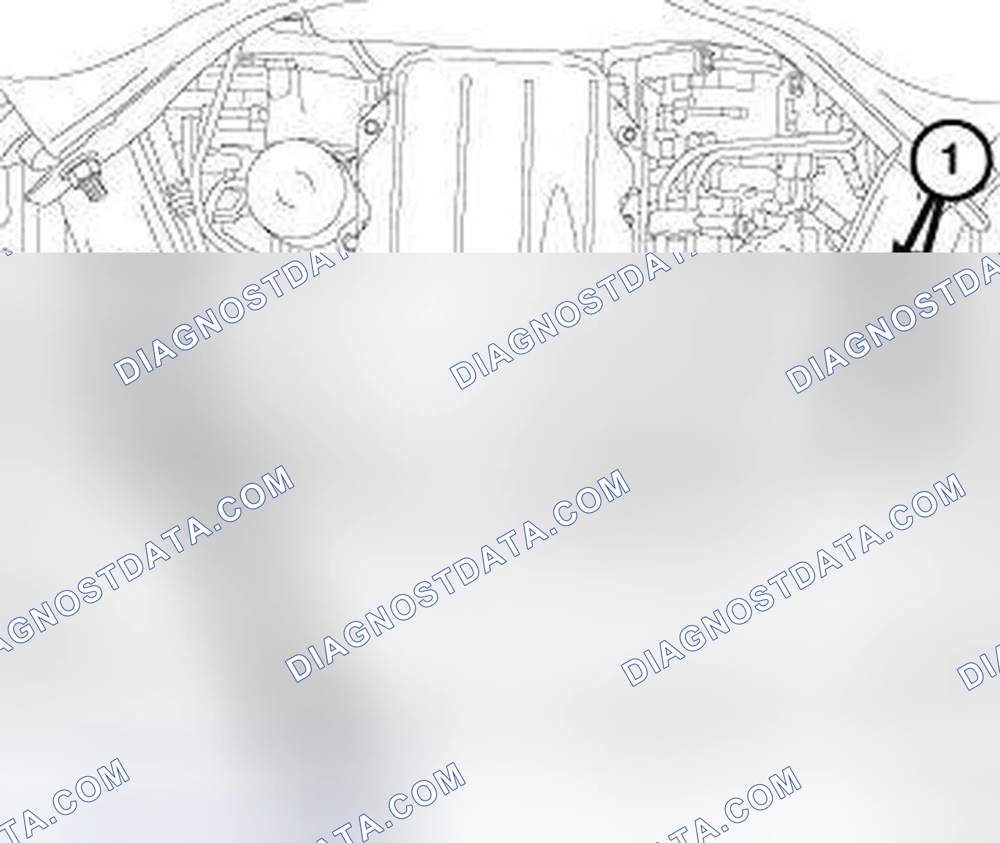 Scheme 338