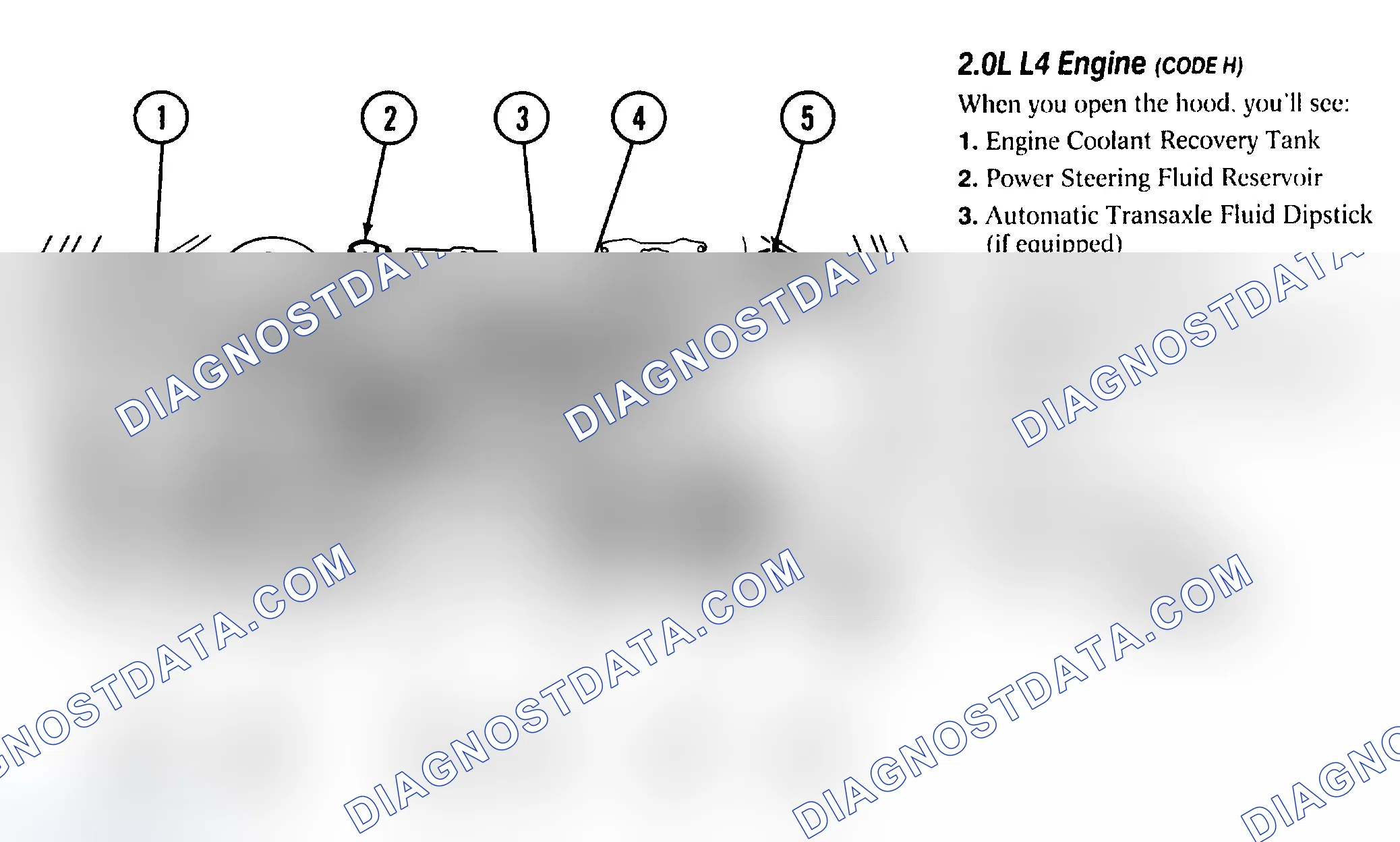 Scheme 5