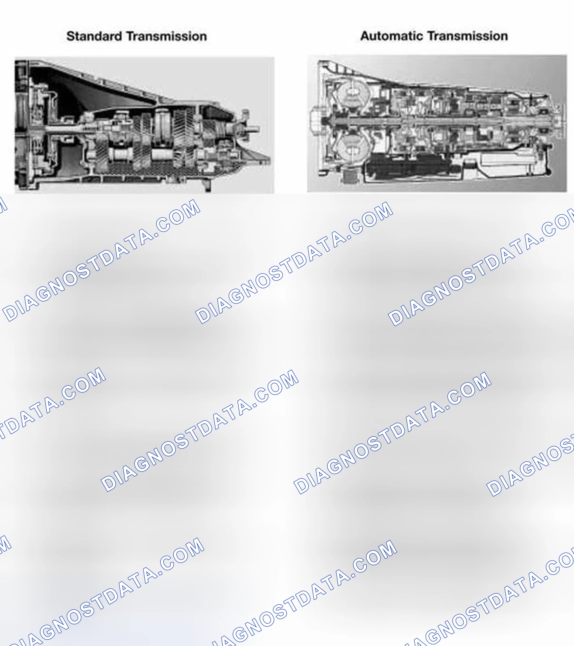Scheme 6: STANDARD/AUTOMATIC TRANSMISSION