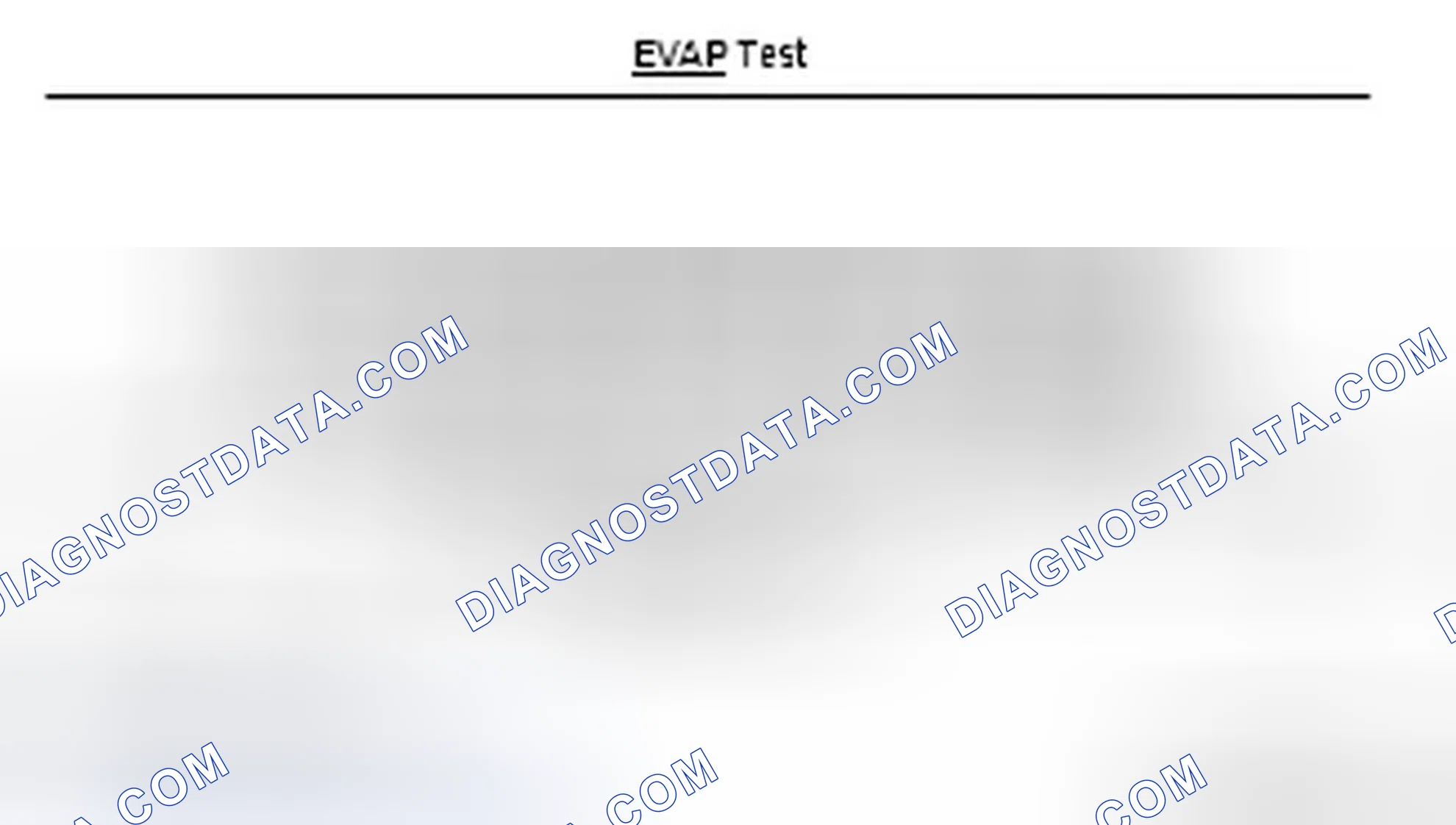 Scheme 47: EVAP system test description