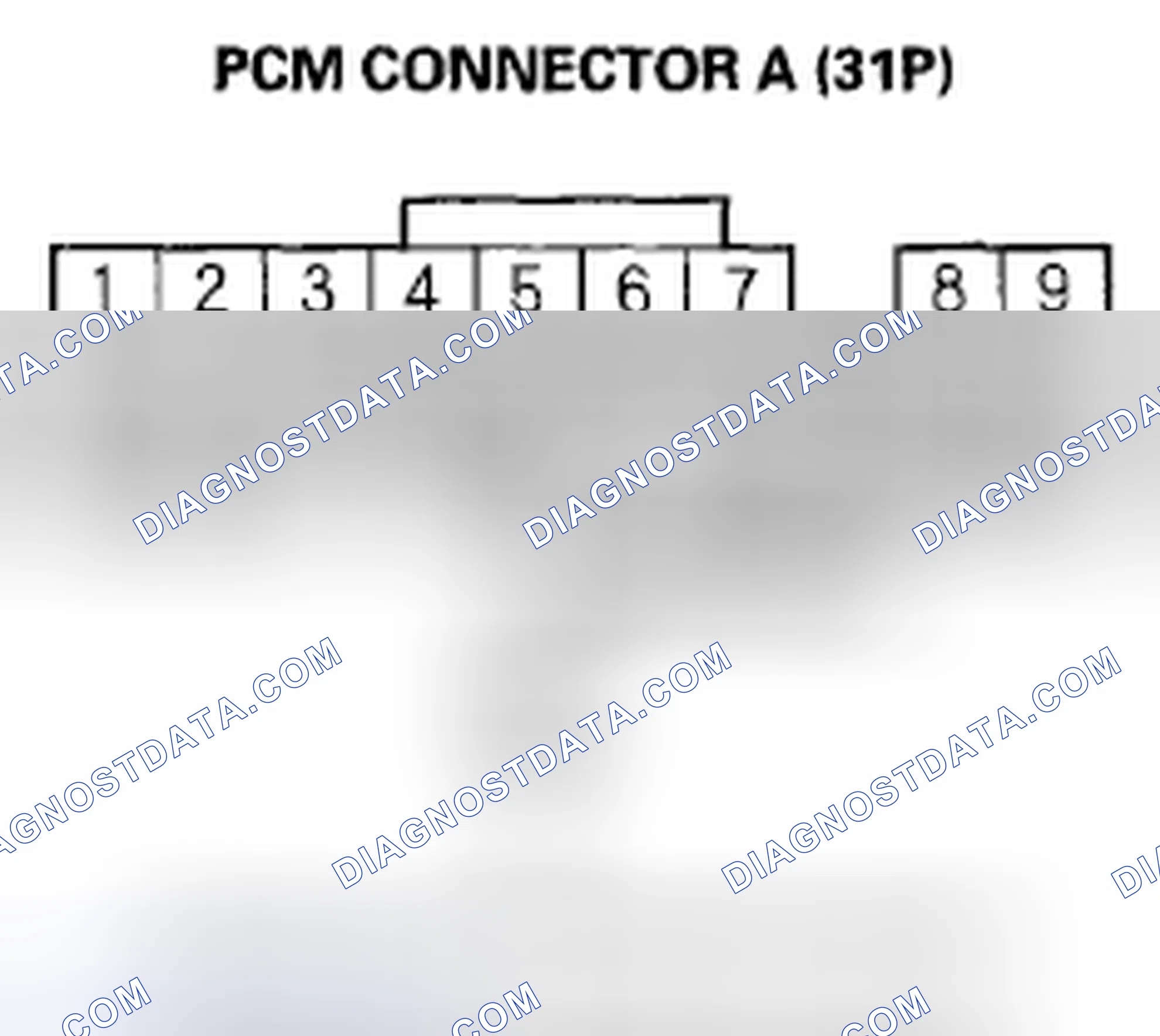 Scheme 318