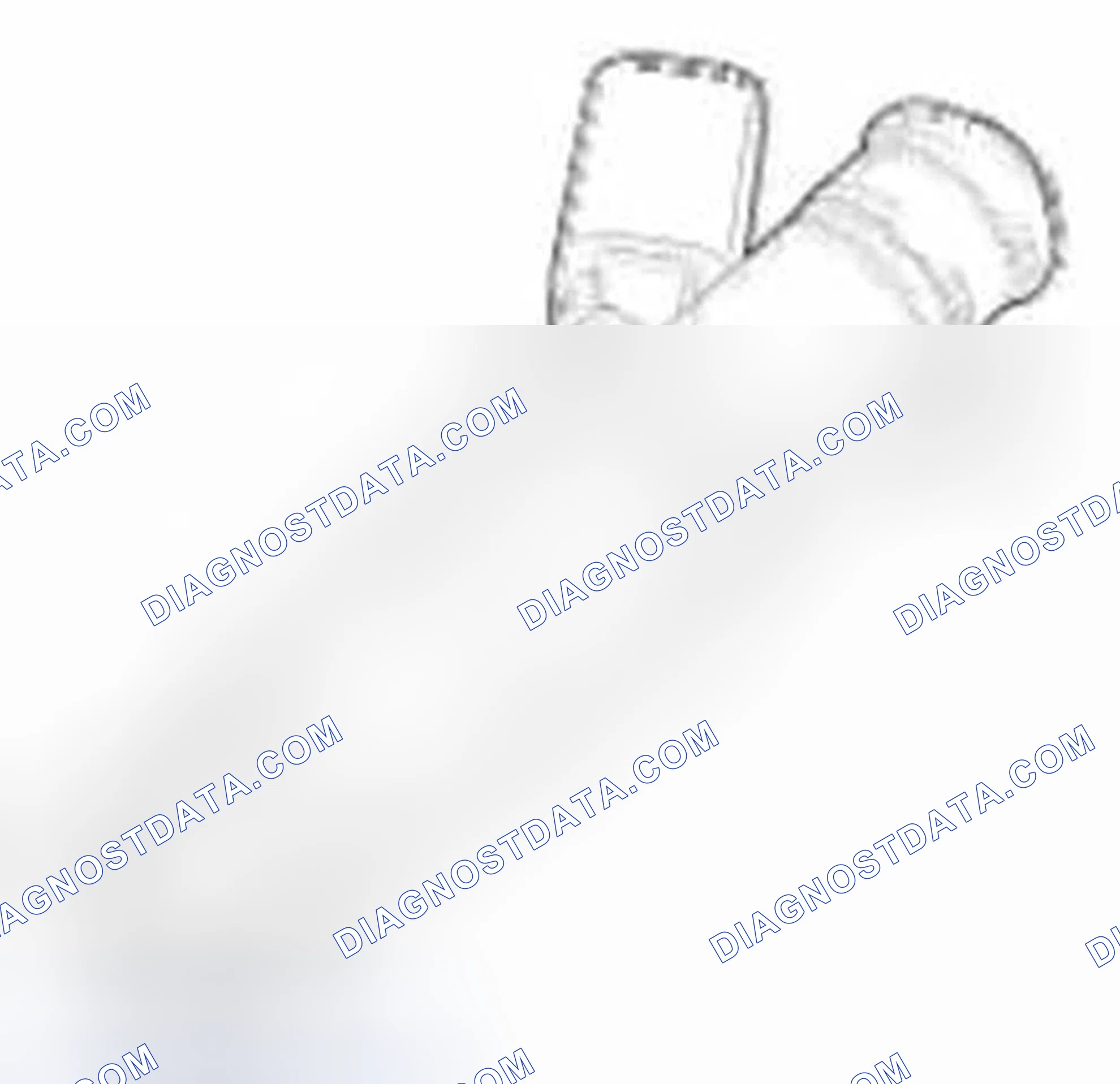 Scheme 207: Description