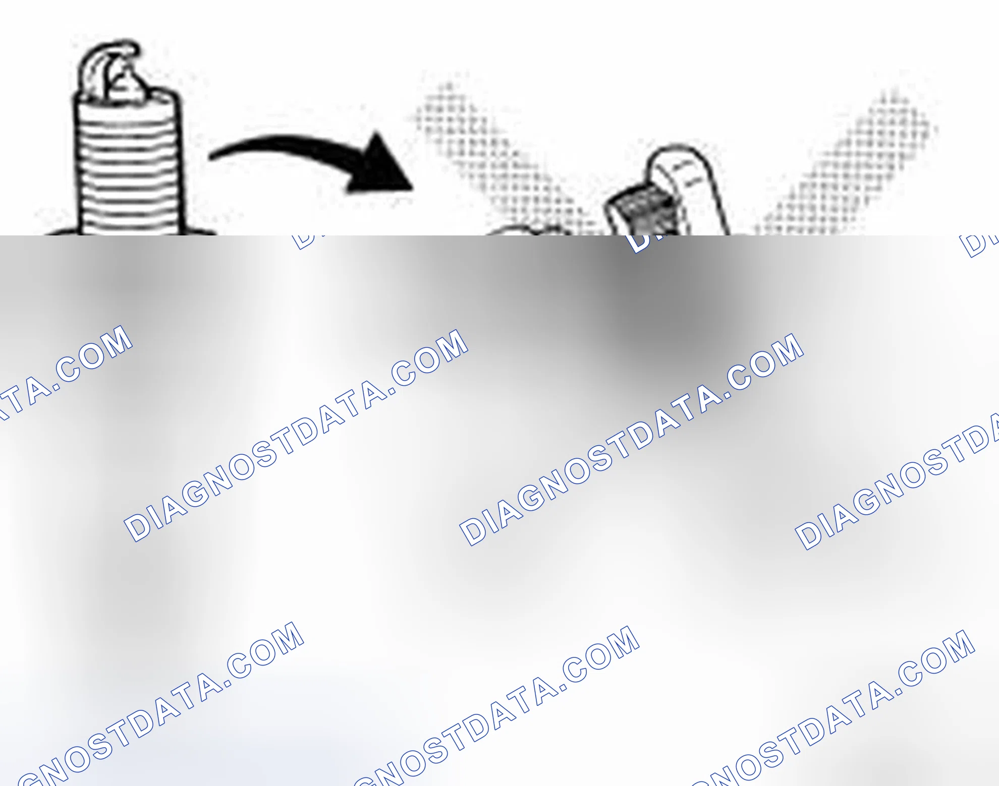 Scheme 3: INSPECTION AFTER REMOVAL