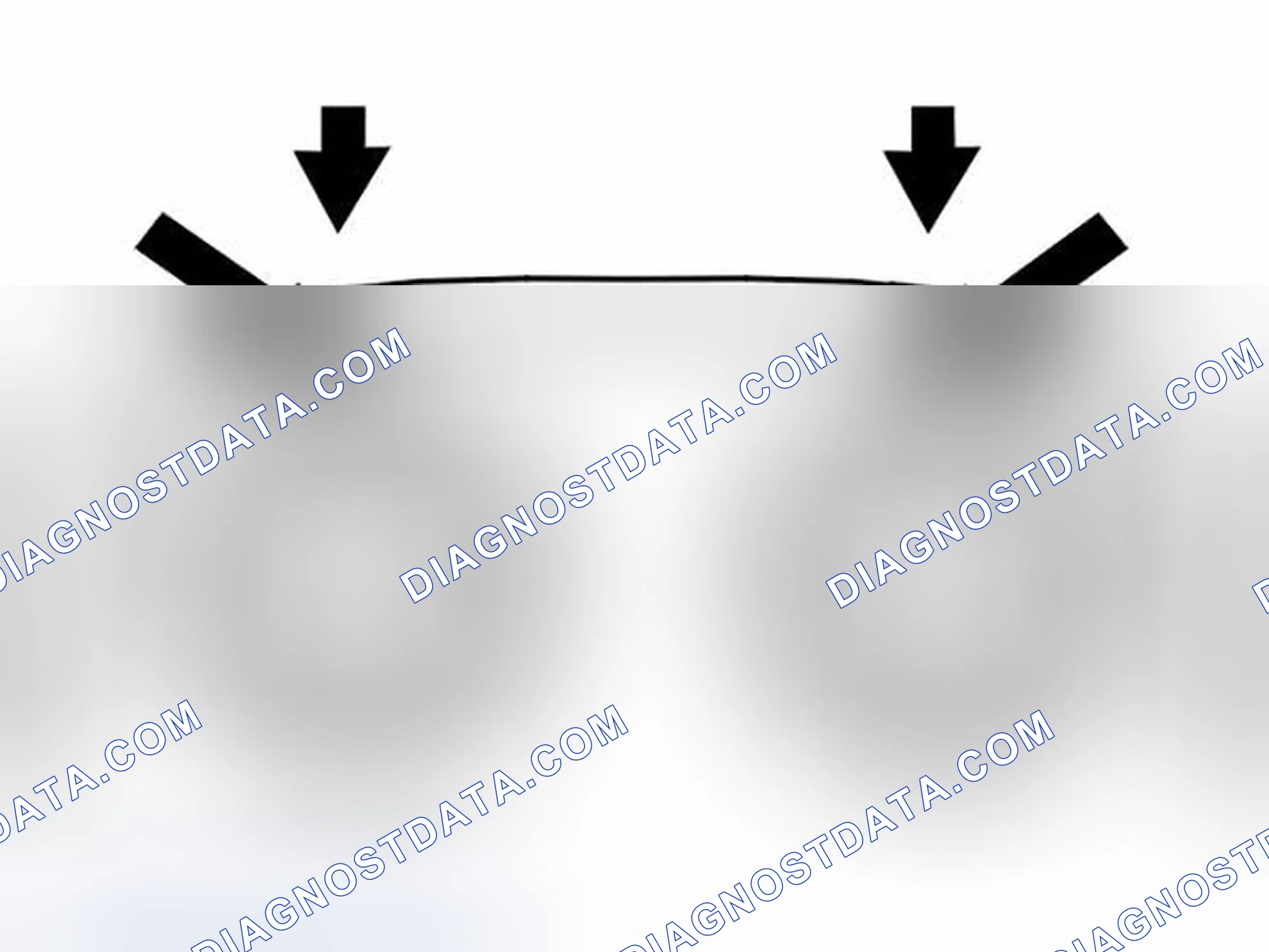 Scheme 546