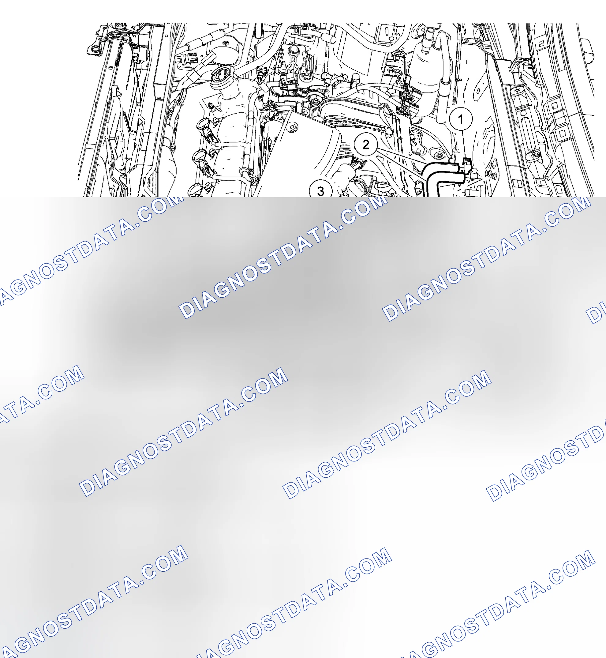 Scheme 1: Heater Hose - 3.0L (4V)