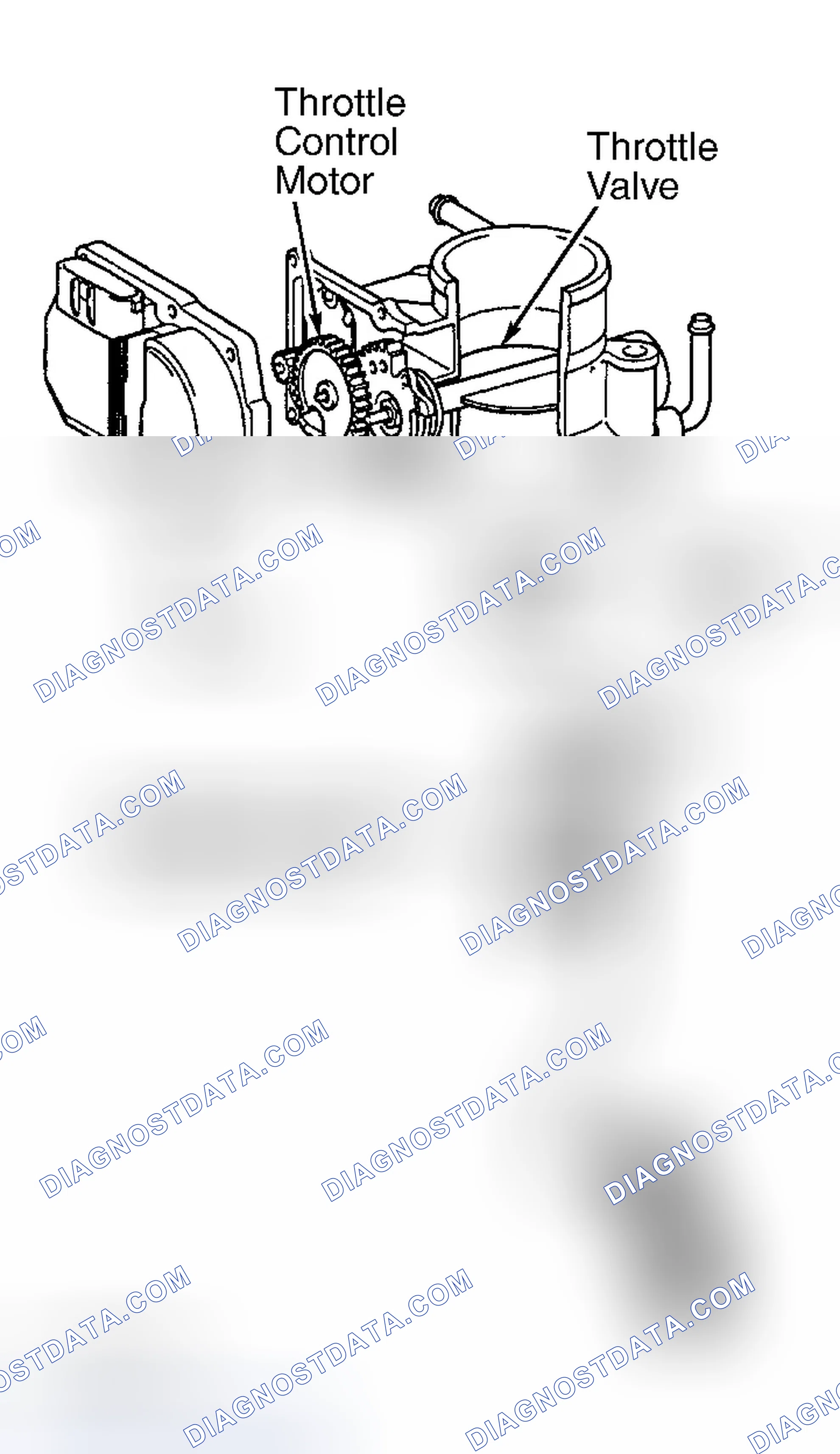 Scheme 10: Camry 2.4L 4-Cyl. (Including PZEV) & Camry Solara 2.4L 4-Cyl., Land Cruiser, Sequoia, Tundra 4.7L V8
