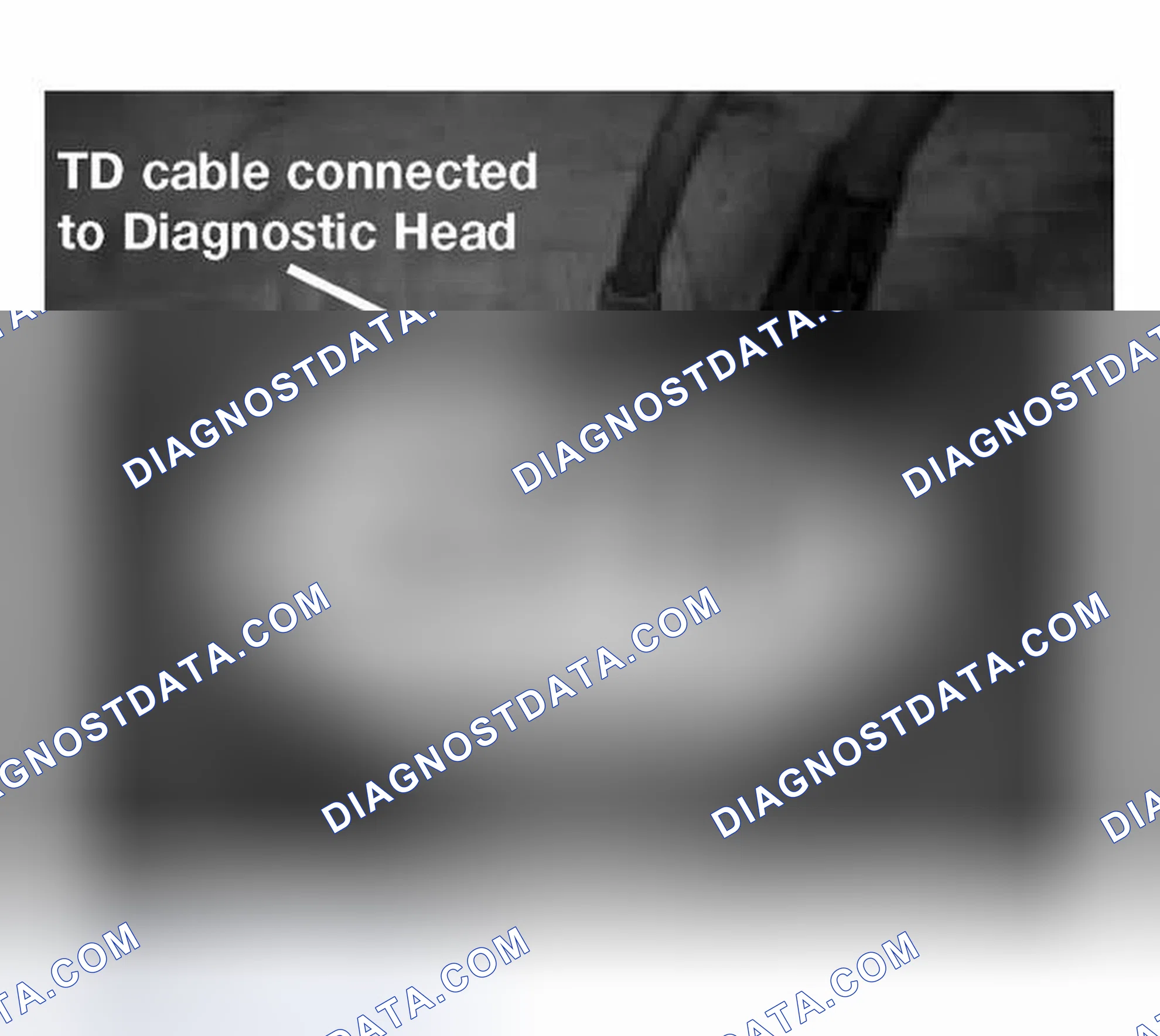 Scheme 490: Identifying Input Cable