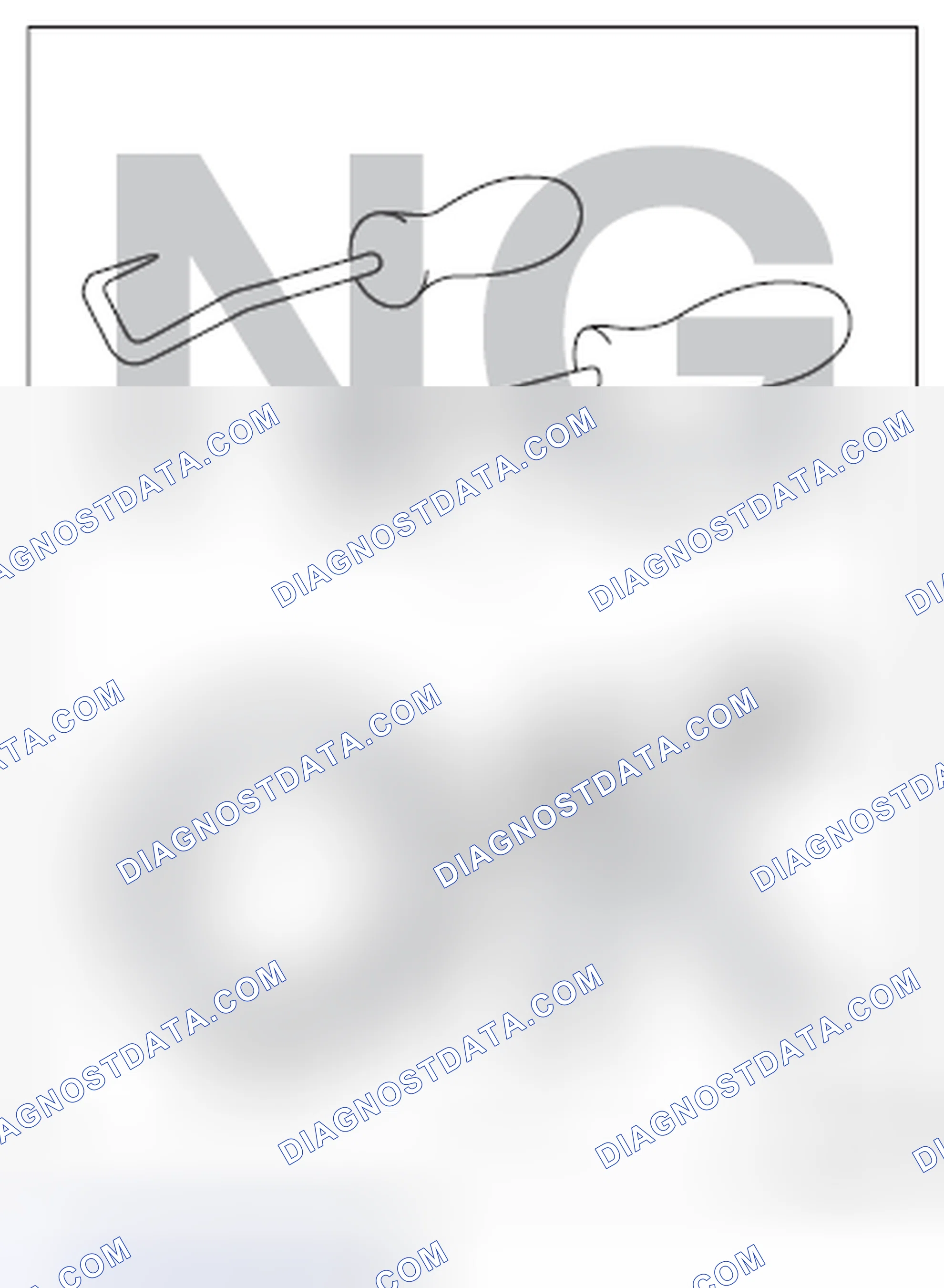 Scheme 27: REMOVAL AND INSTALLATION OPERATION OF HOSES, ETC.