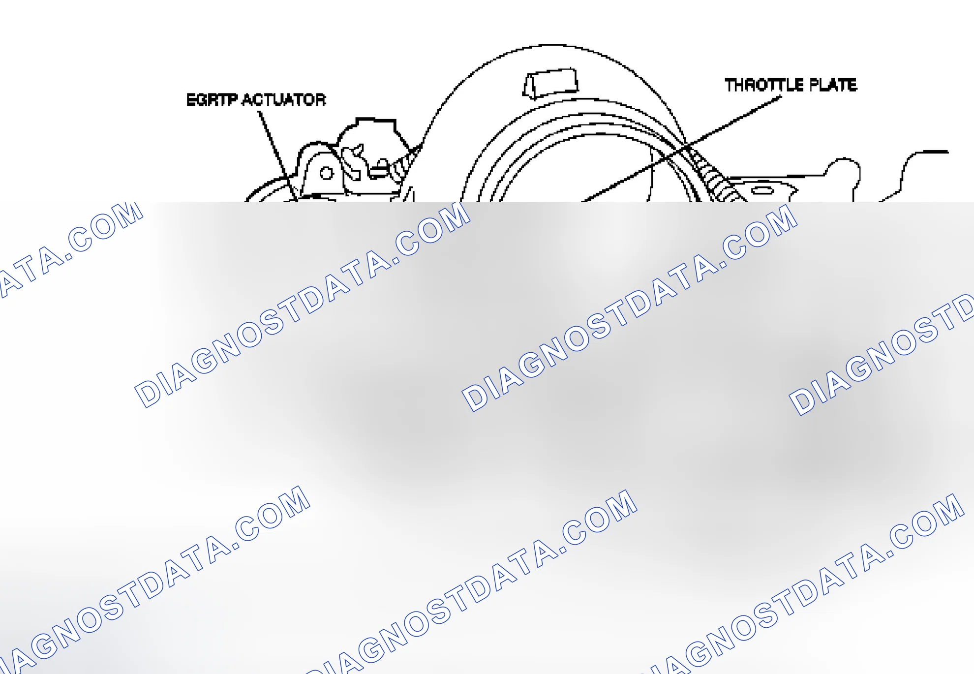 Scheme 29: EGR Throttle Position Sensor
