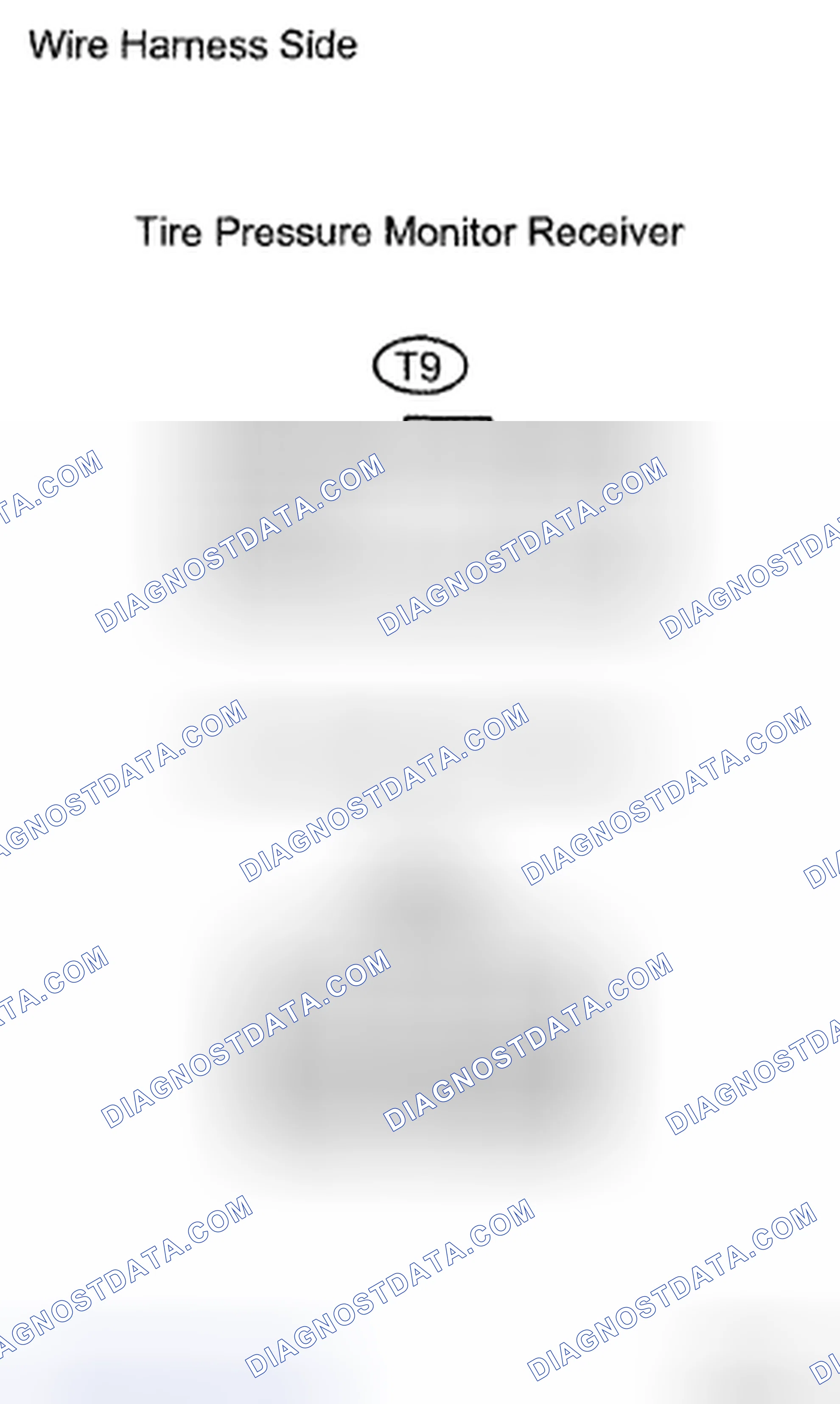 Scheme 50