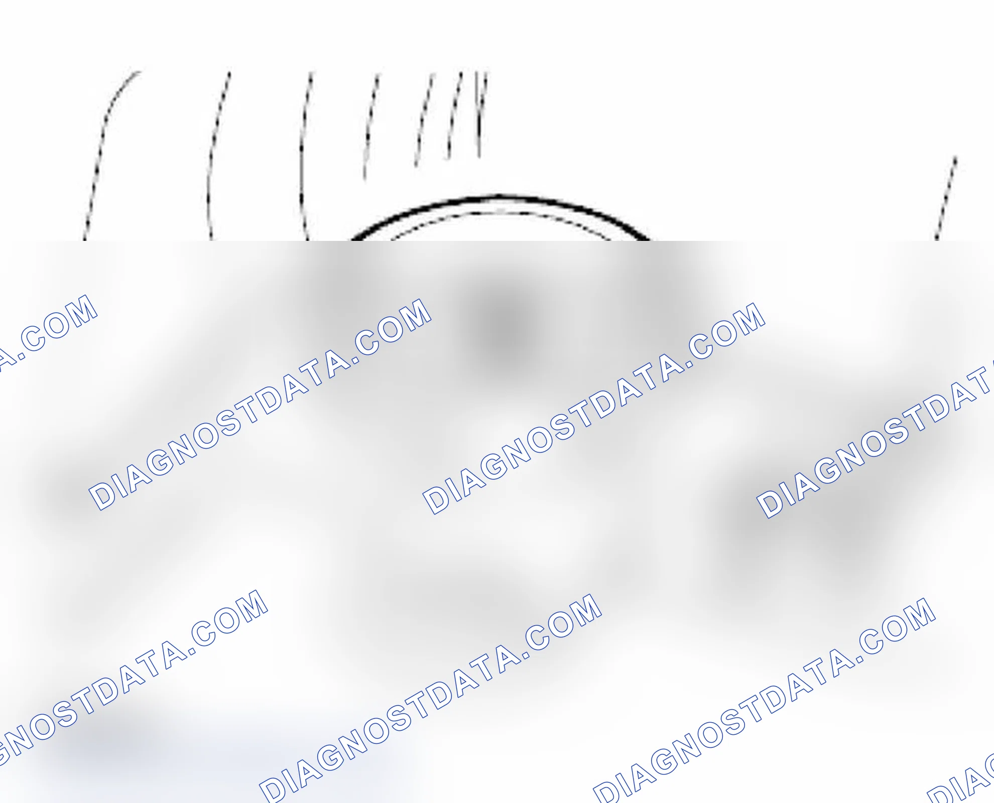 Scheme 52: COOLANT LEVEL CHECK