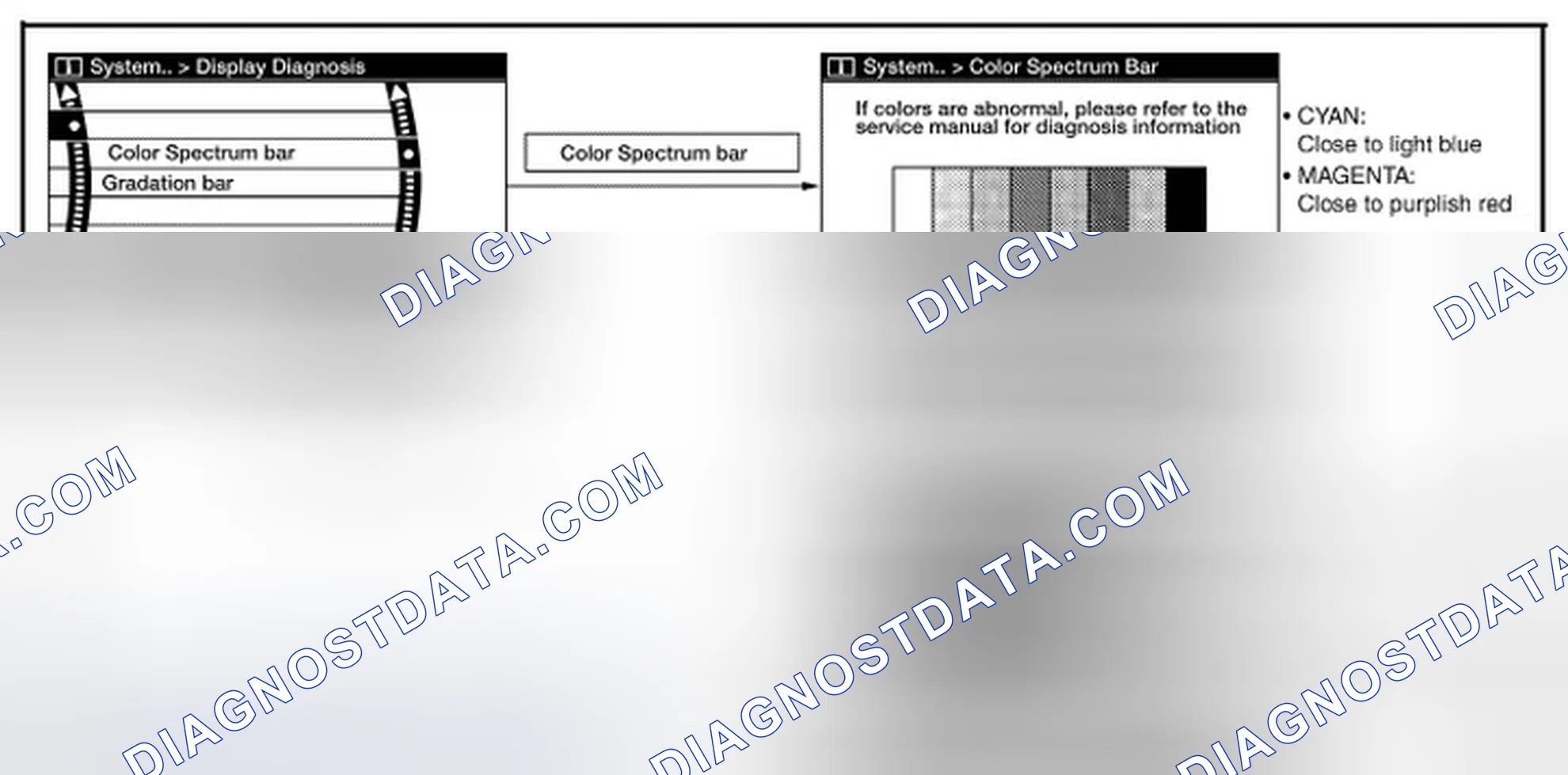 Scheme 53: Display Diagnosis