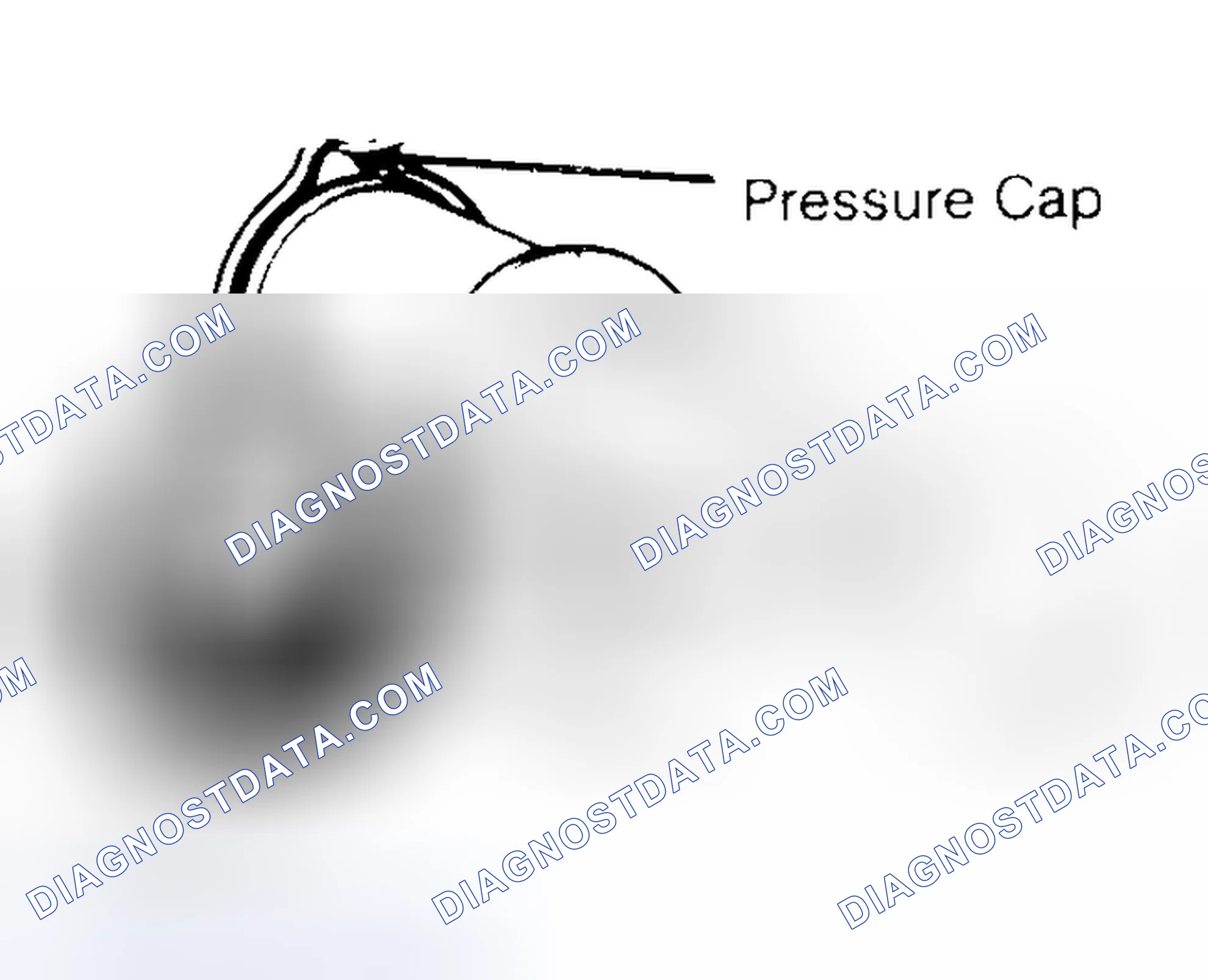 Scheme 2: Pressure Testing Radiator Cap