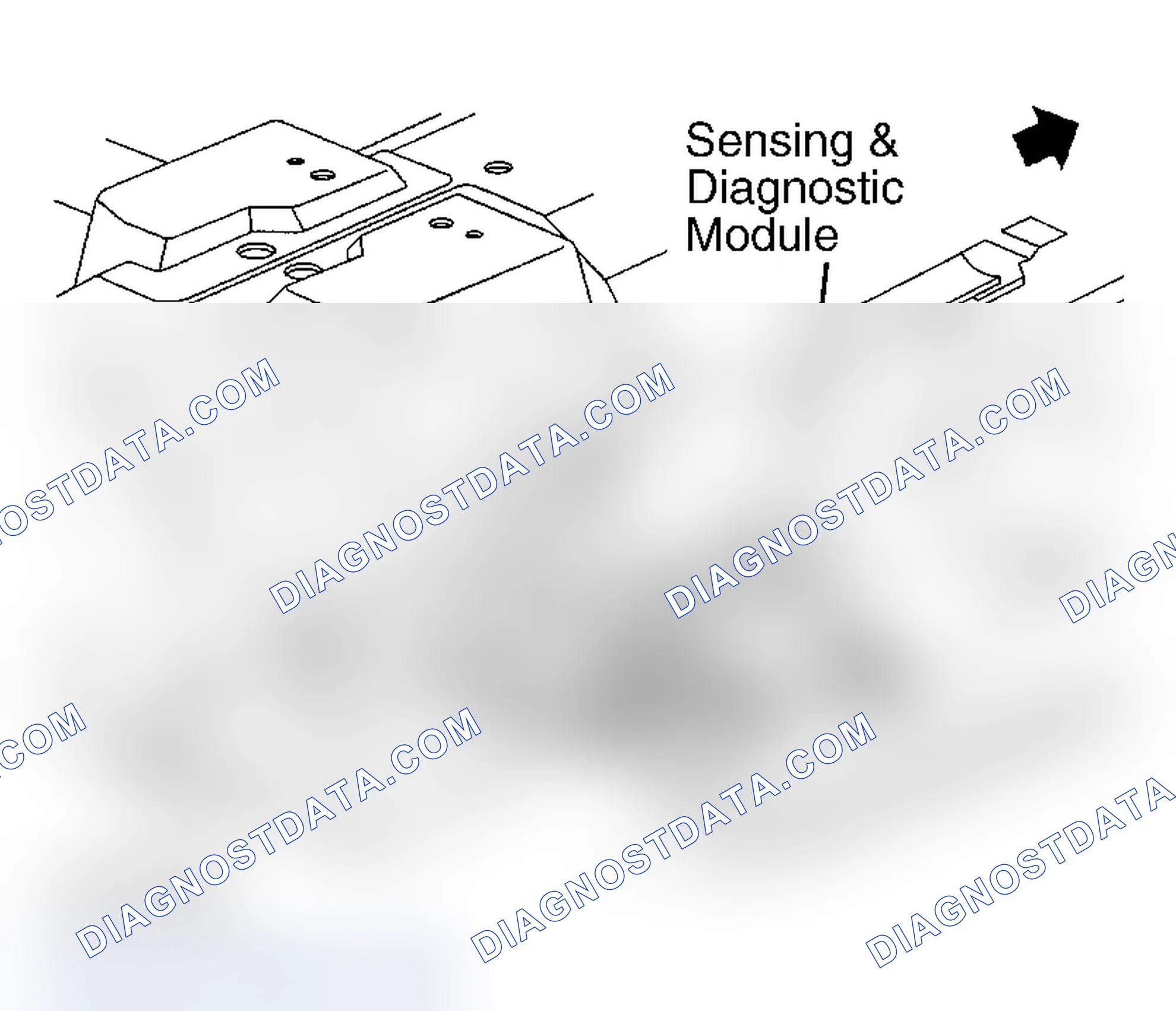 Scheme 5