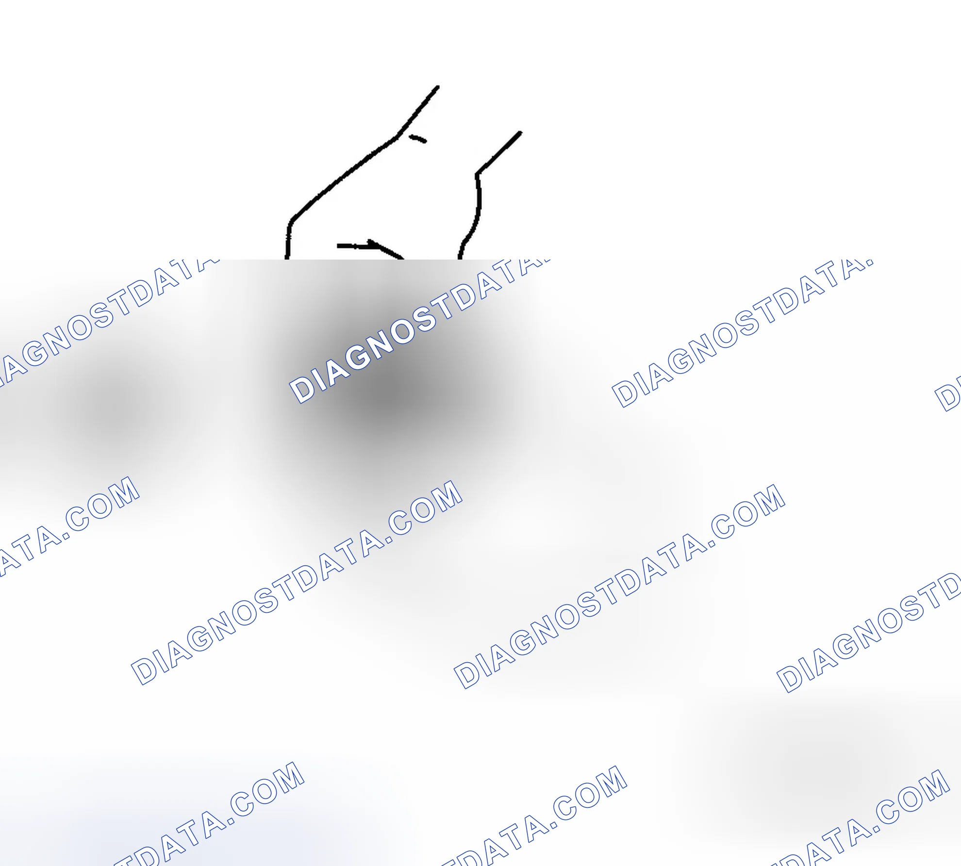 Scheme 23: Inspection During Removal, Disassembly