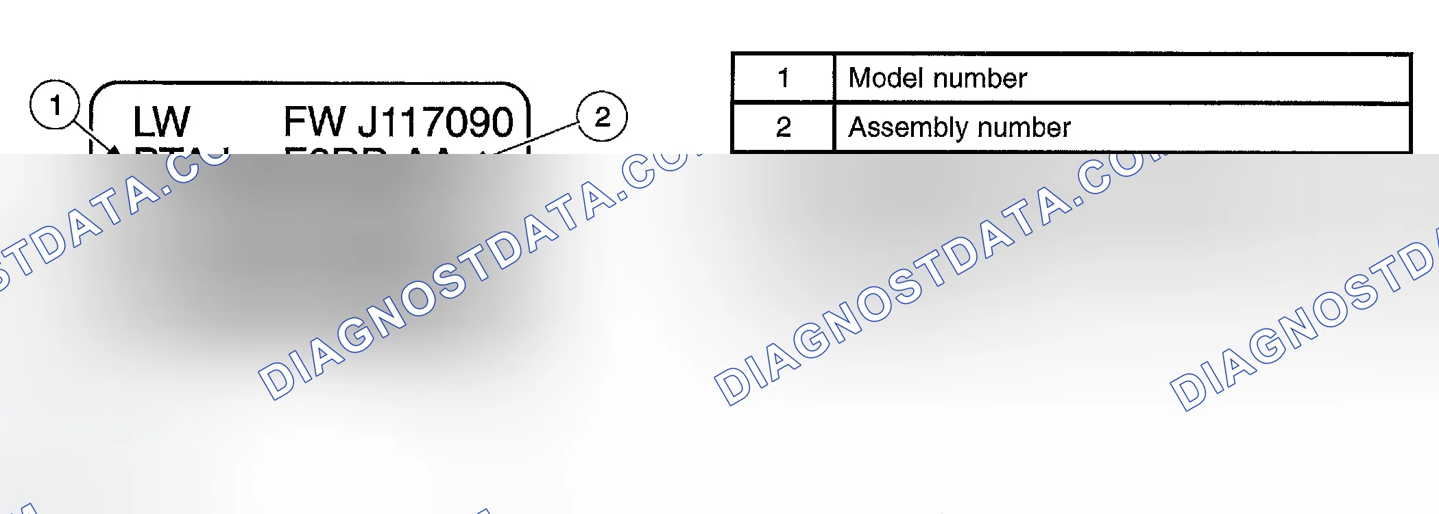 Scheme 435: IDENTIFICATION TAGS