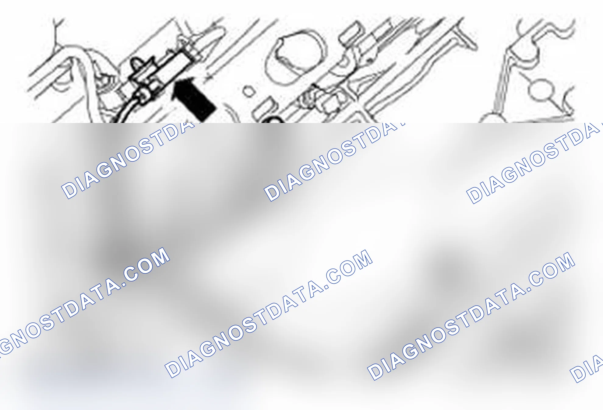 Scheme 338