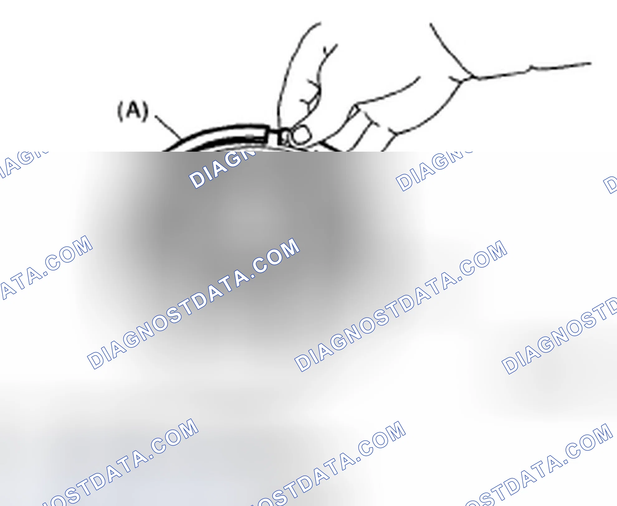 Scheme 360: HIGH CLUTCH AND REVERSE CLUTCH