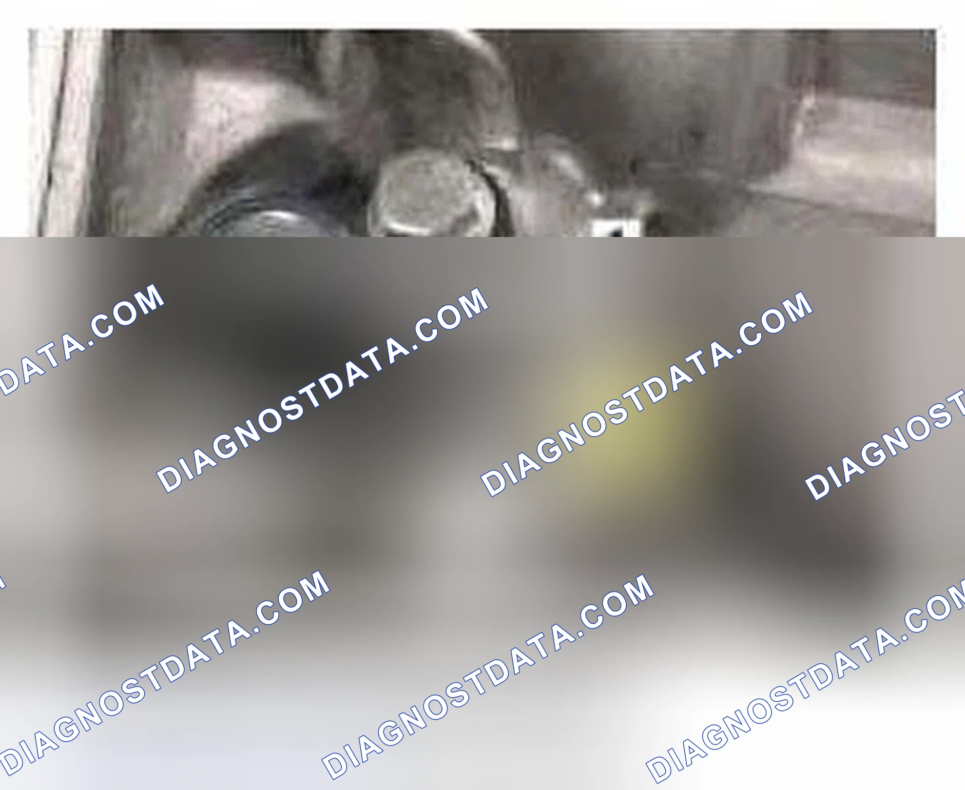 Scheme 64: Transmission Secondary Speed Sensor (ECVT Models only)