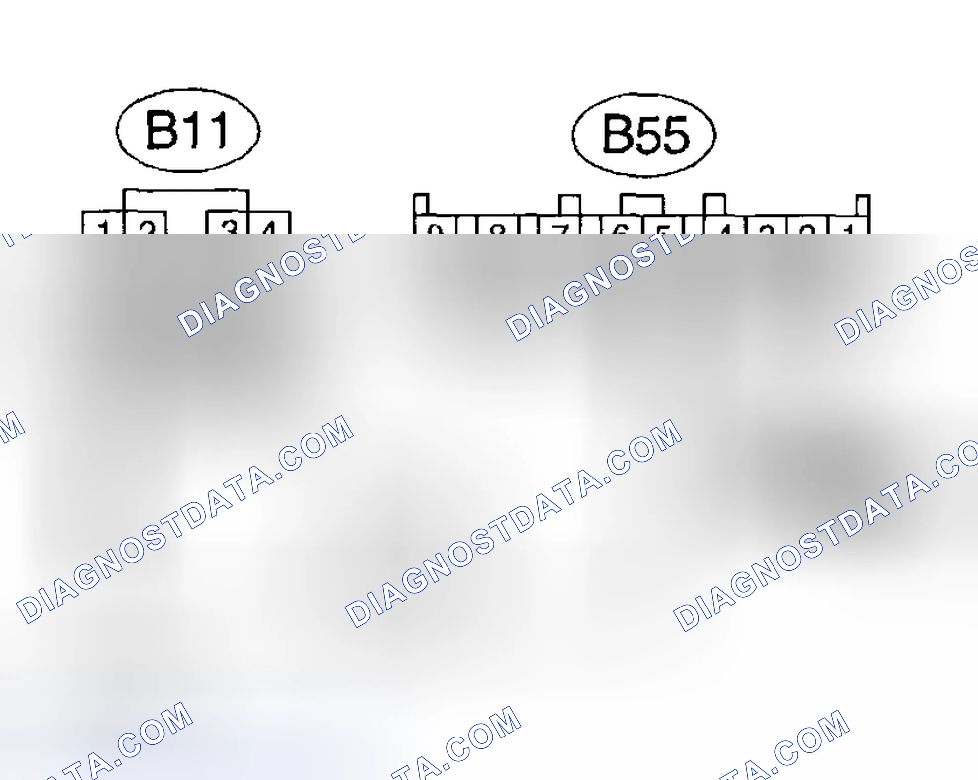 Scheme 443: Diagnostic Procedure