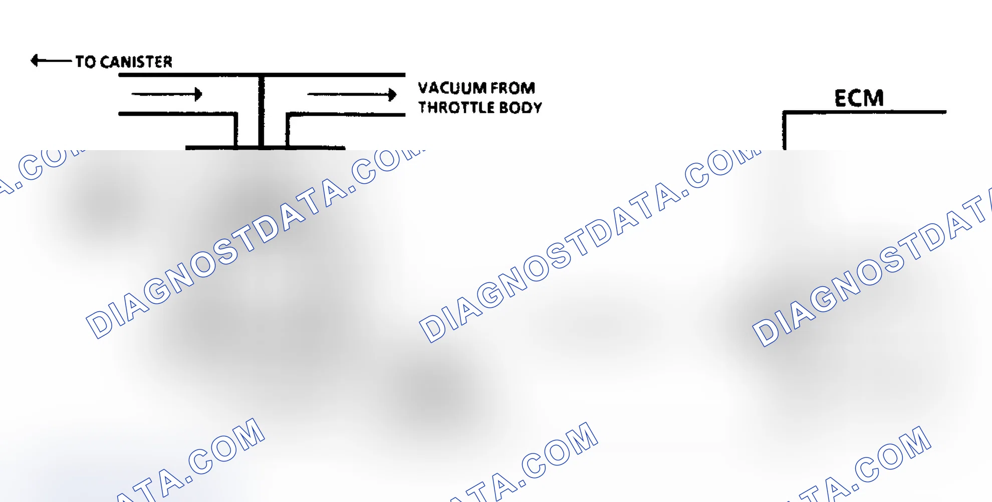 Scheme 251: Chart C3 Schematic, Canister Purge Check (3.8L "C" & "H" Bodies)
