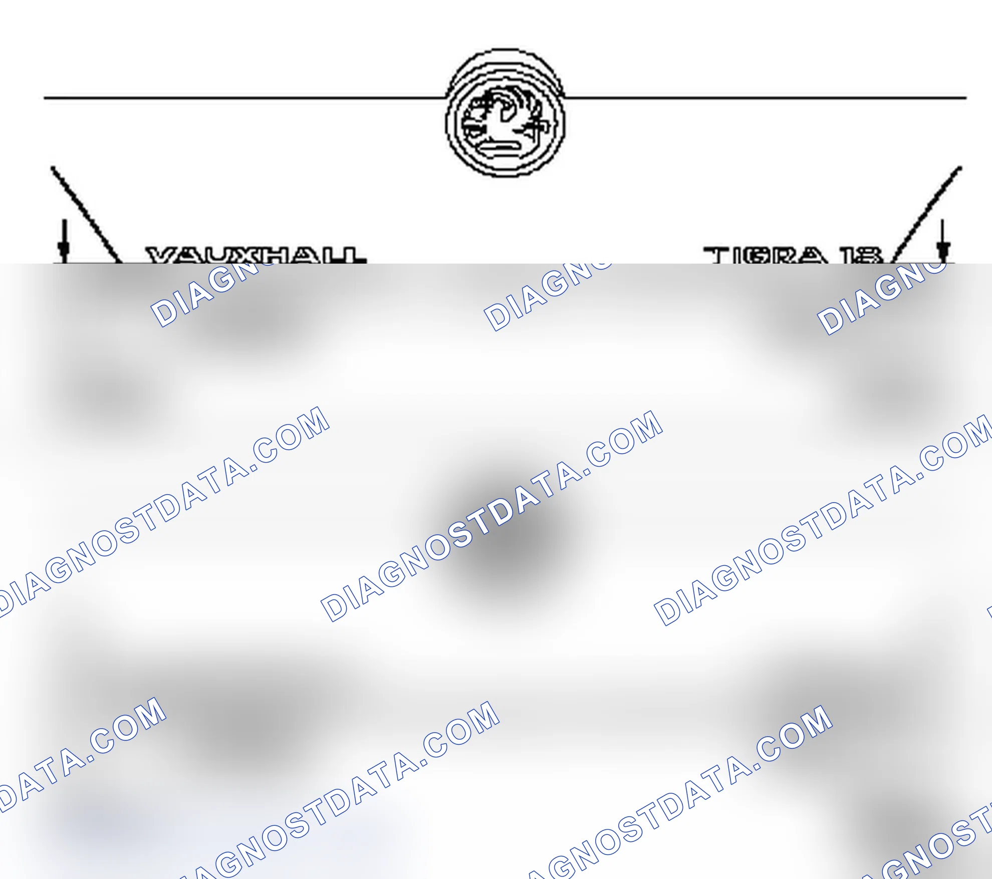 Replace Lettering Rear