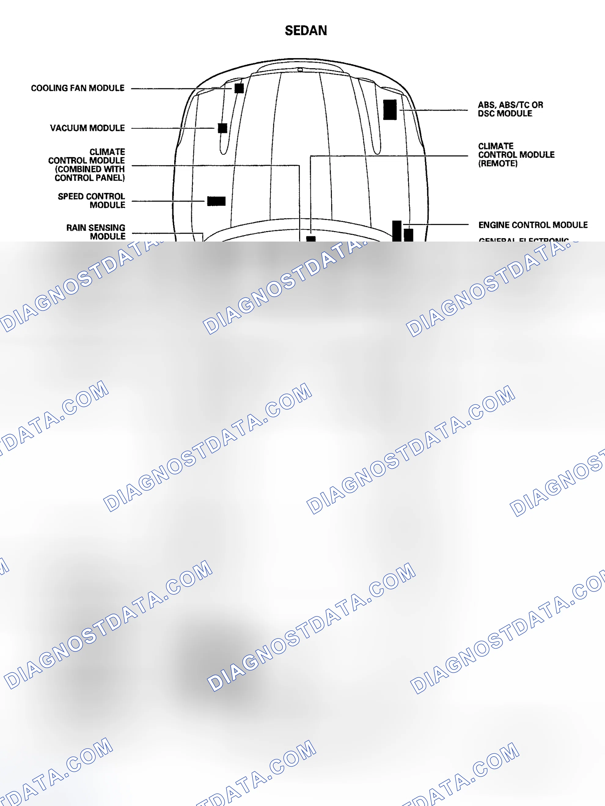 Scheme 5