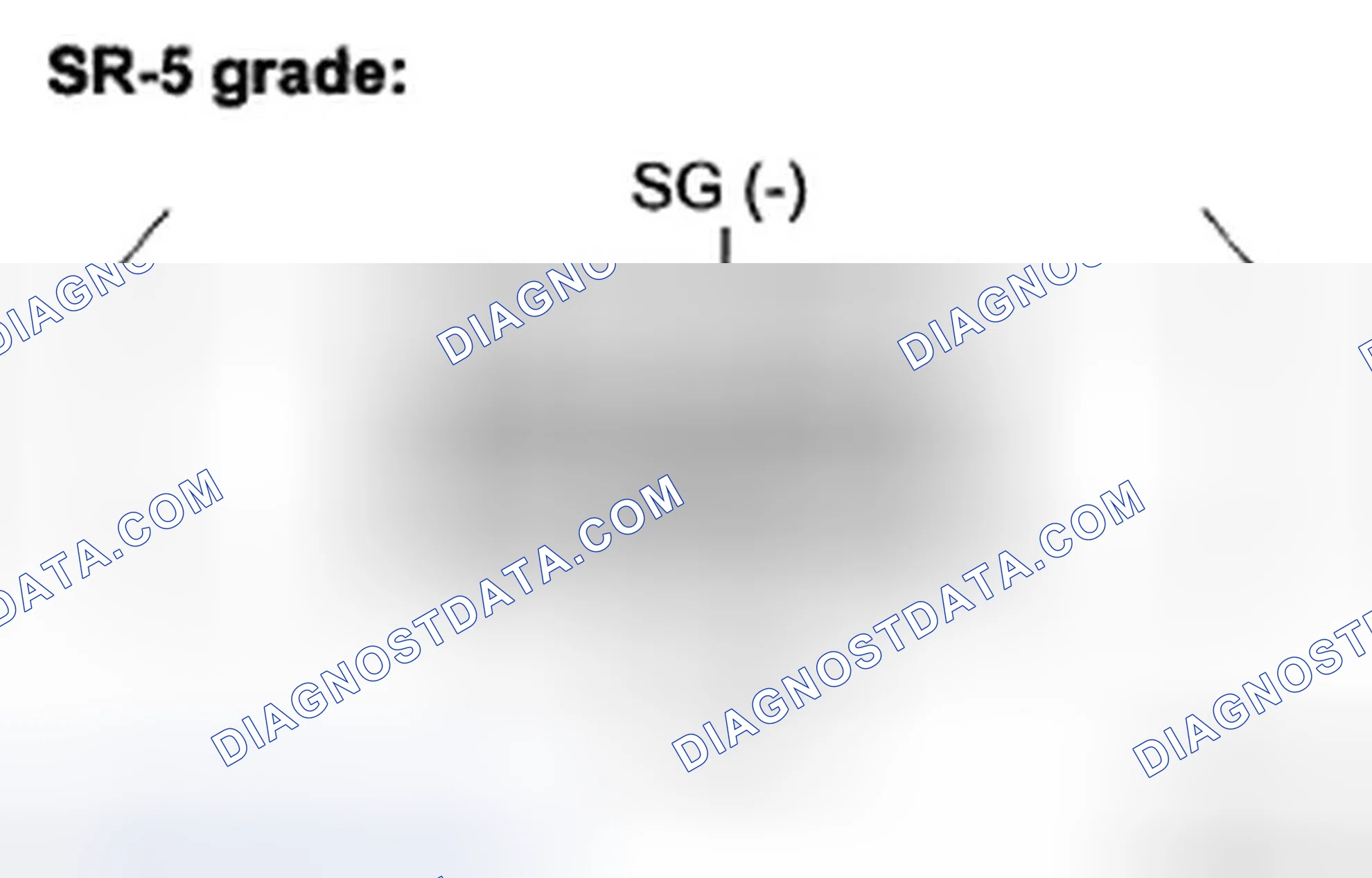 Scheme 26: INSPECTION PROCEDURE