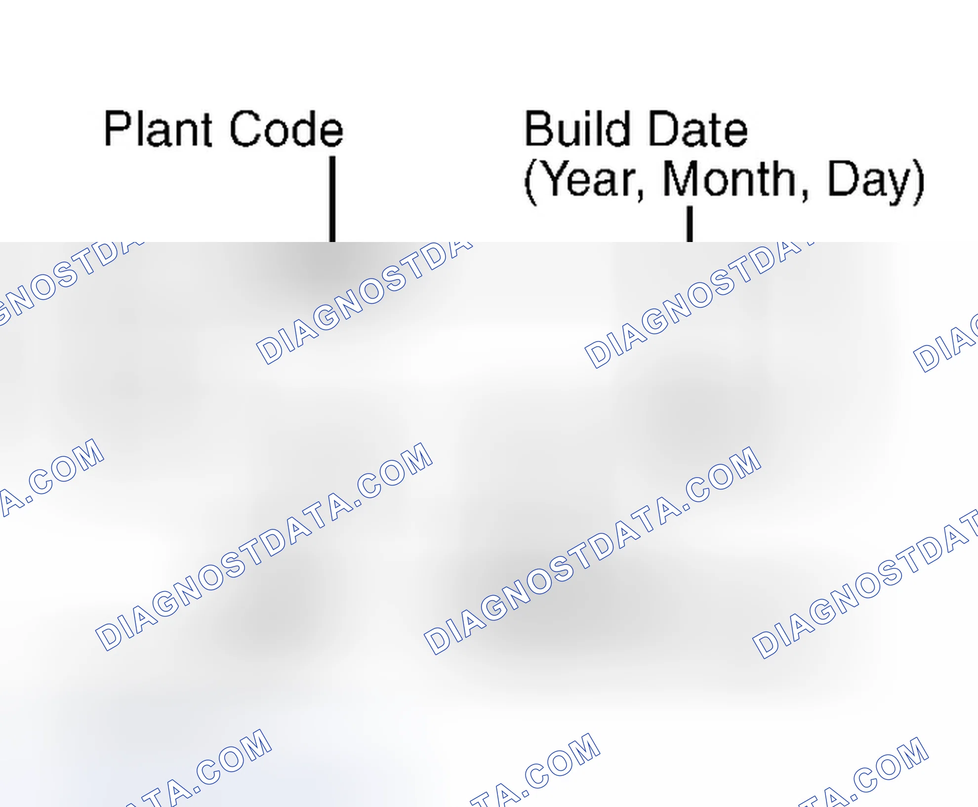 Scheme 8: AXLE RATIO & IDENTIFICATION