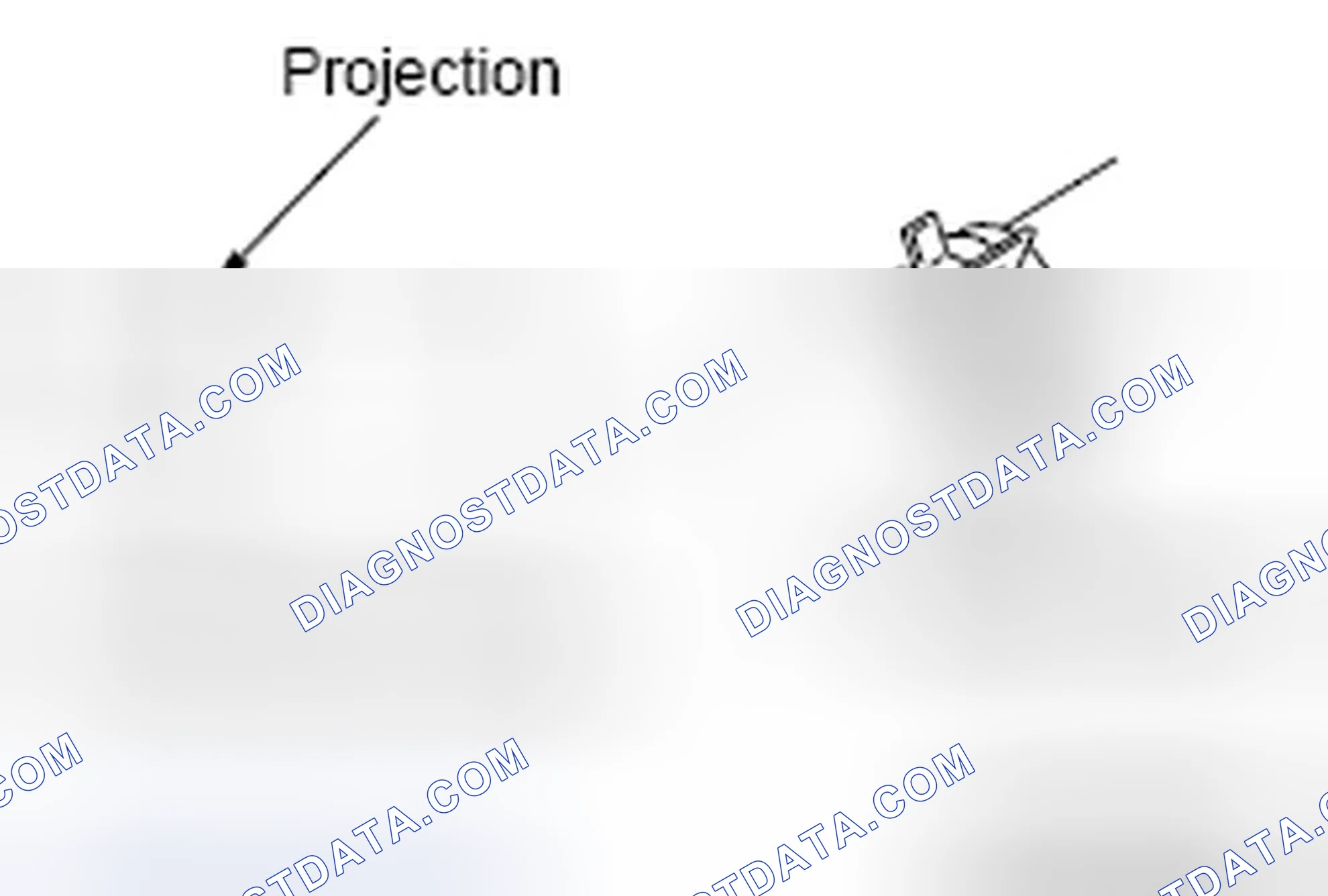 Scheme 29: D << RADIATOR UPPER HOSE INSTALLATION
